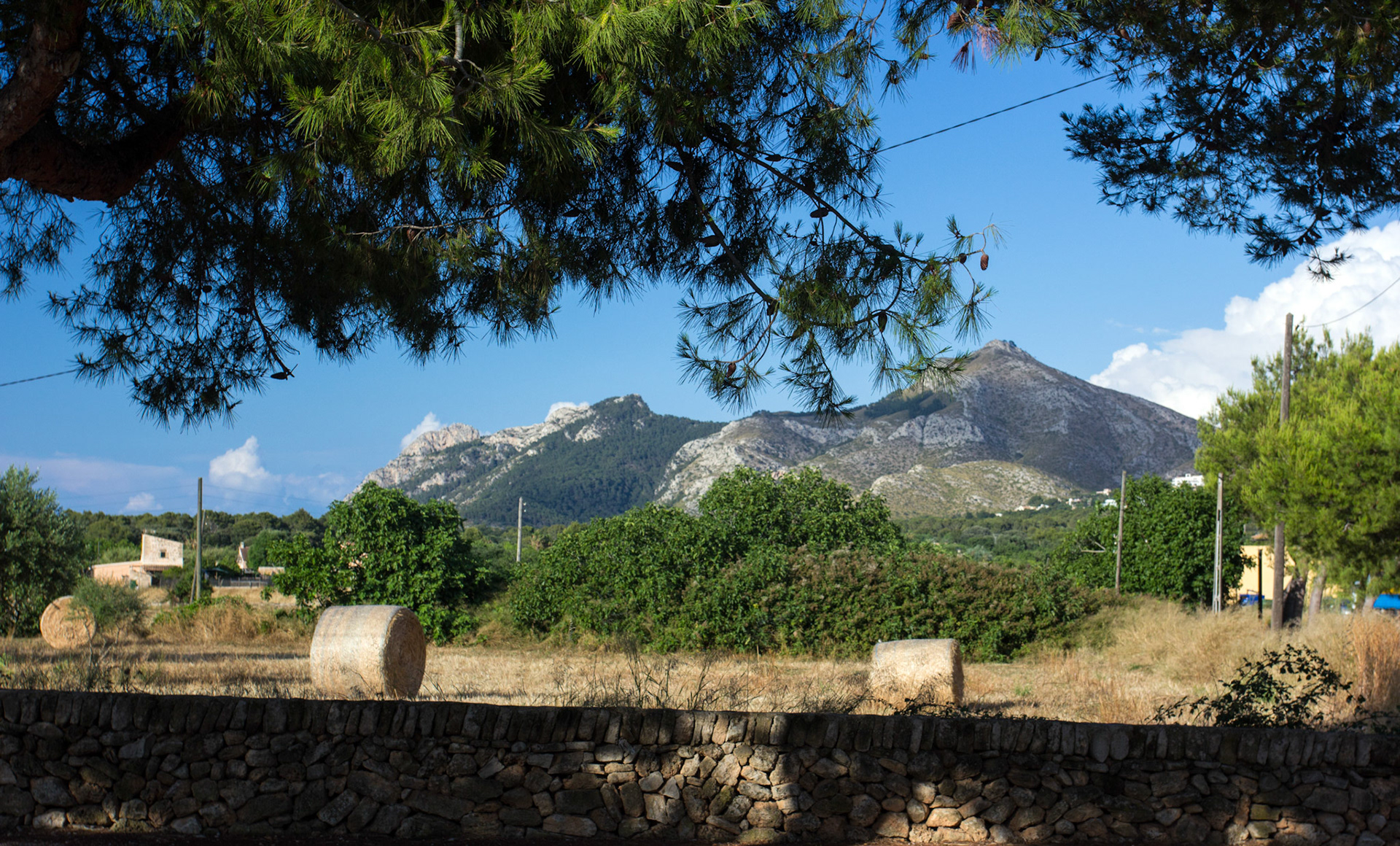 AlcudiaPlease see my other Photographs at: www.jamespdeans.co.uk