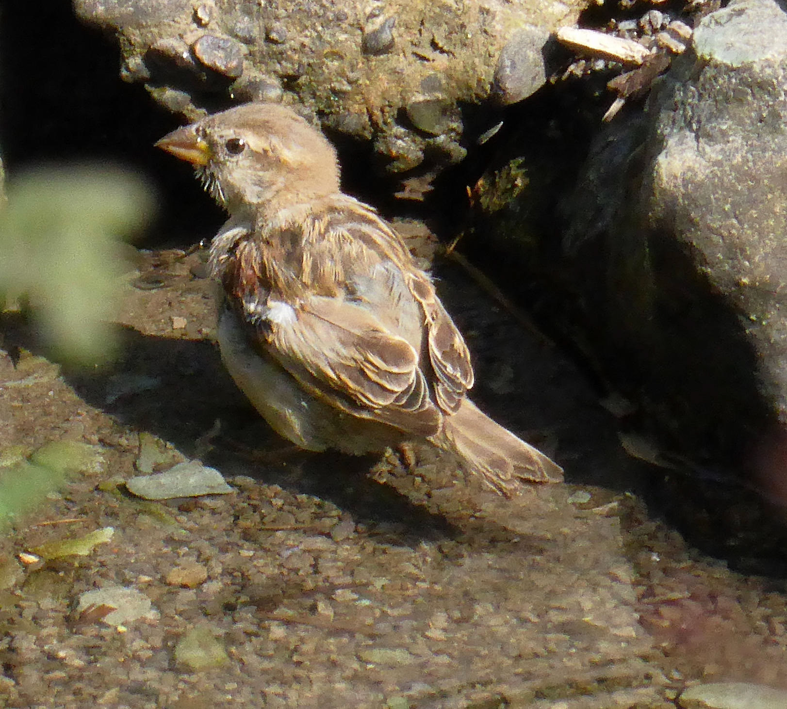 KeswickPlease see my other Photographs at: http://www.jamespdeans.co.uk/