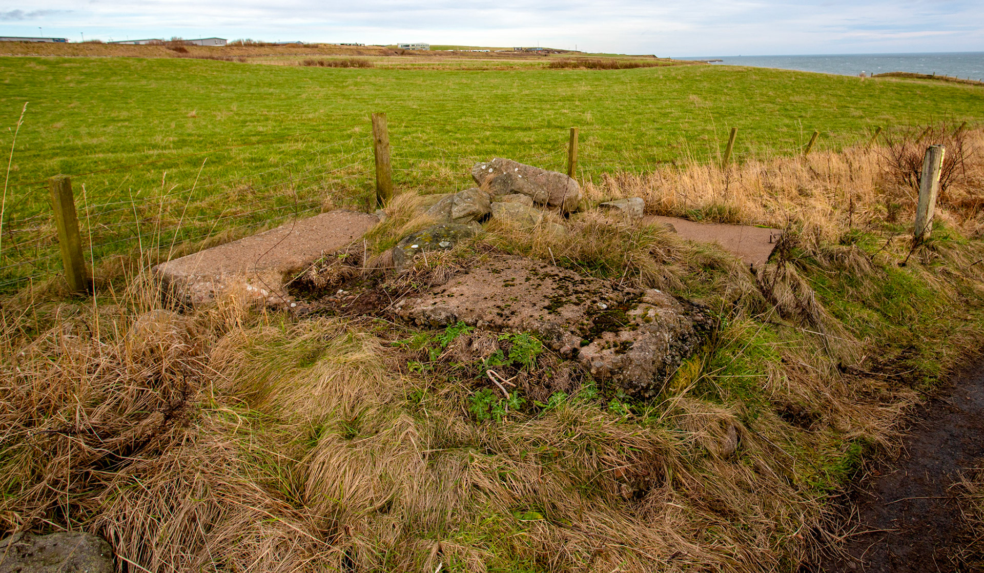 Altens Haven - Walk Cove to Aberdeen 27 January 2024