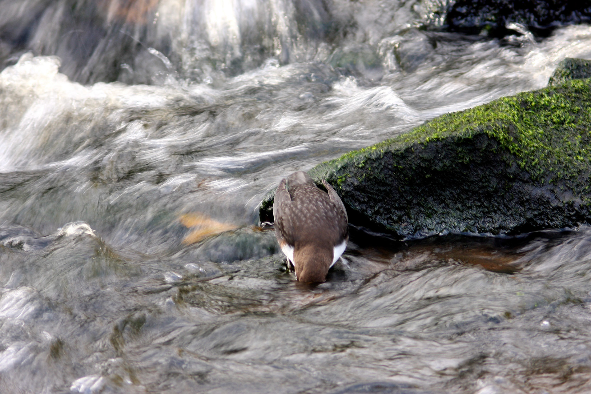 EdinburghPlease see my other Photographs at: http://www.jamespdeans.co.uk/