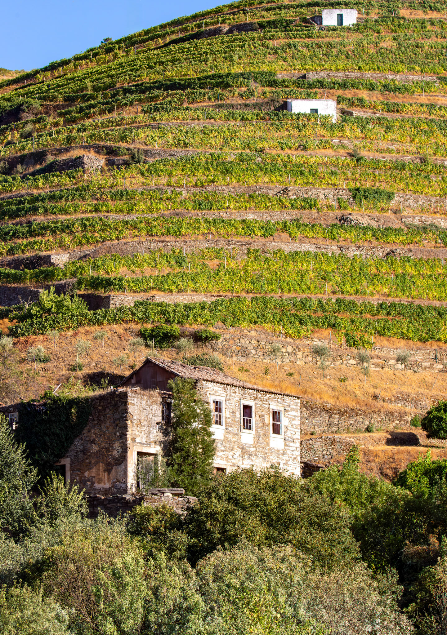 Douro cruise 21 August 2026