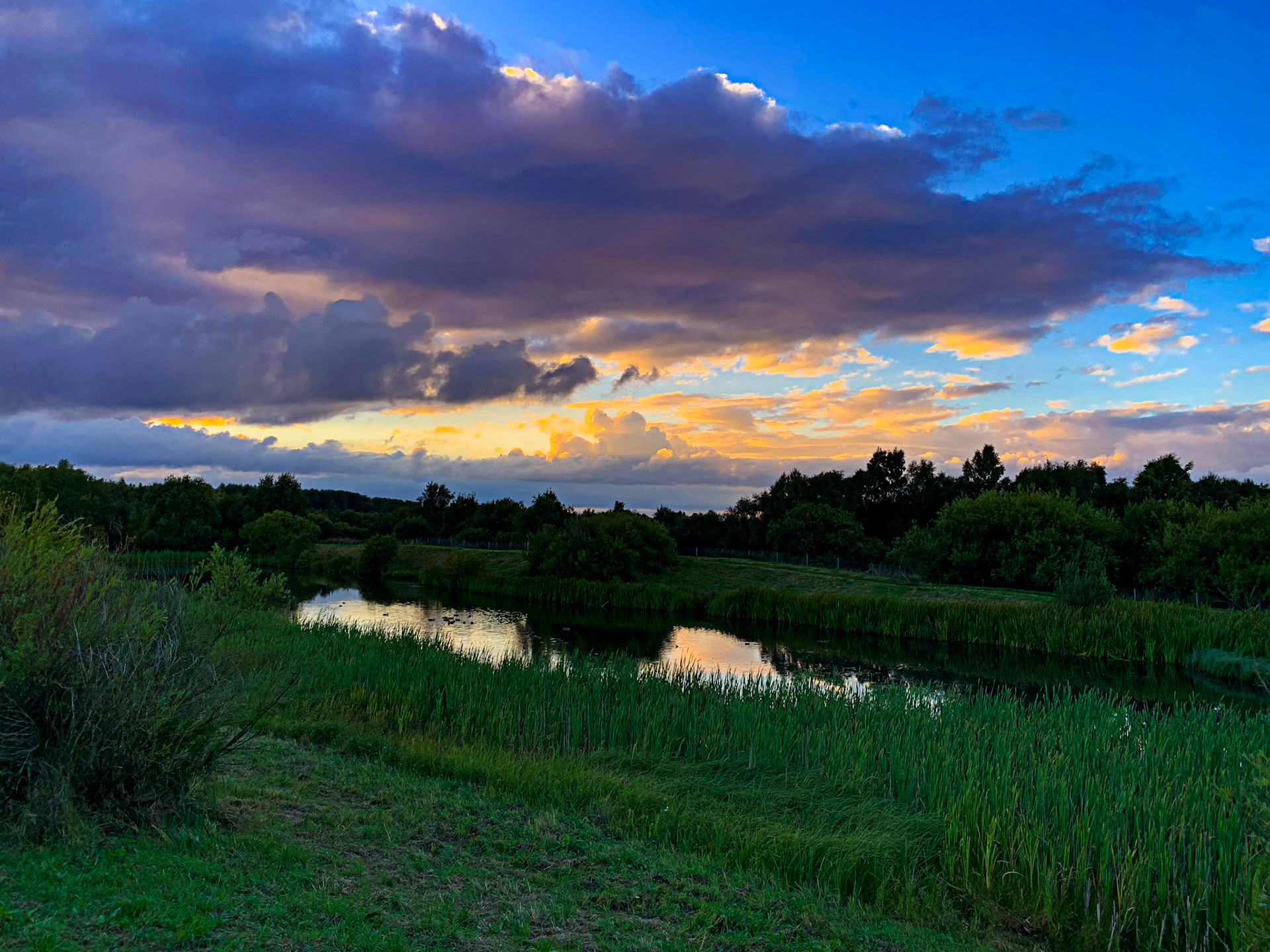 Wester Inch Ponds, Bathgate