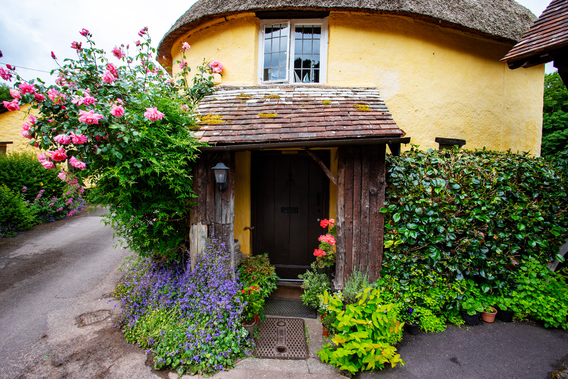 Luccombe 21 June 2023