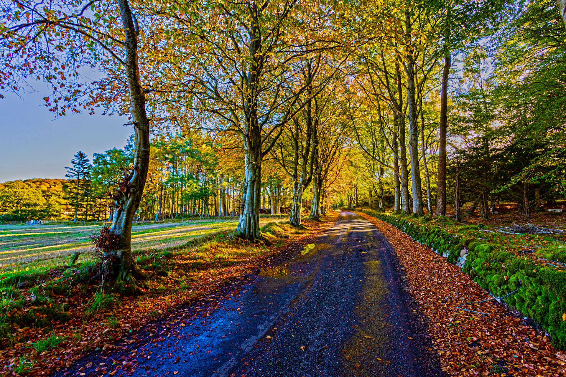 Autumn in Aberdeenshire 14 to 16 October 2022