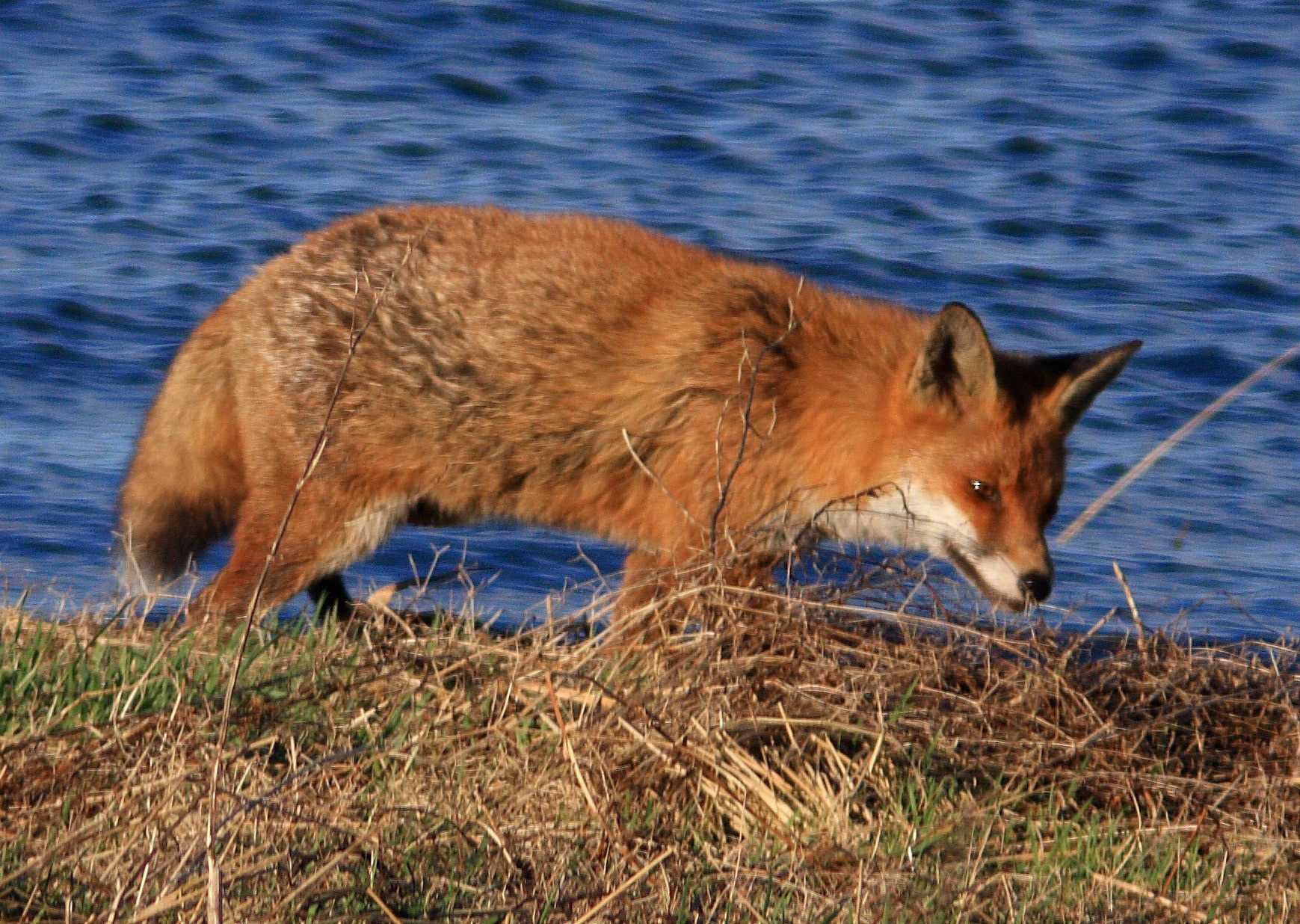 Vane FarmPlease see my other Photographs at: http://www.jamespdeans.co.uk/