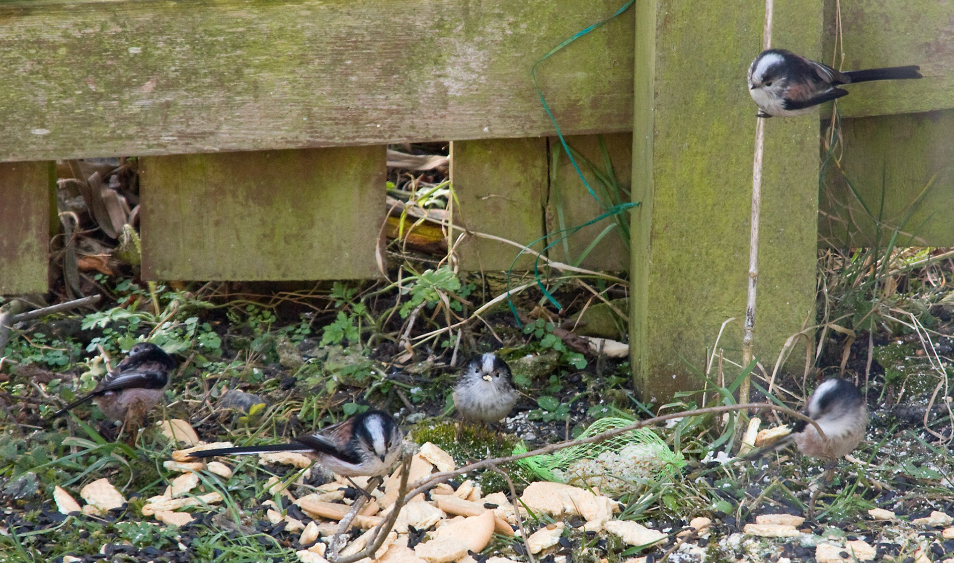 Livingston Please see my other Photographs at: www.jamespdeans.co.uk