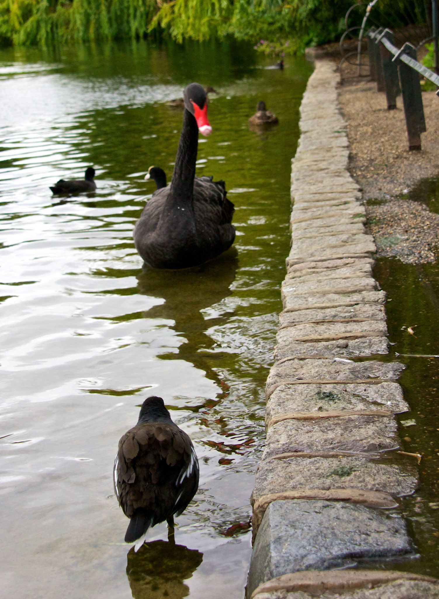 LondonPlease see my other Photographs at: http://www.jamespdeans.co.uk/