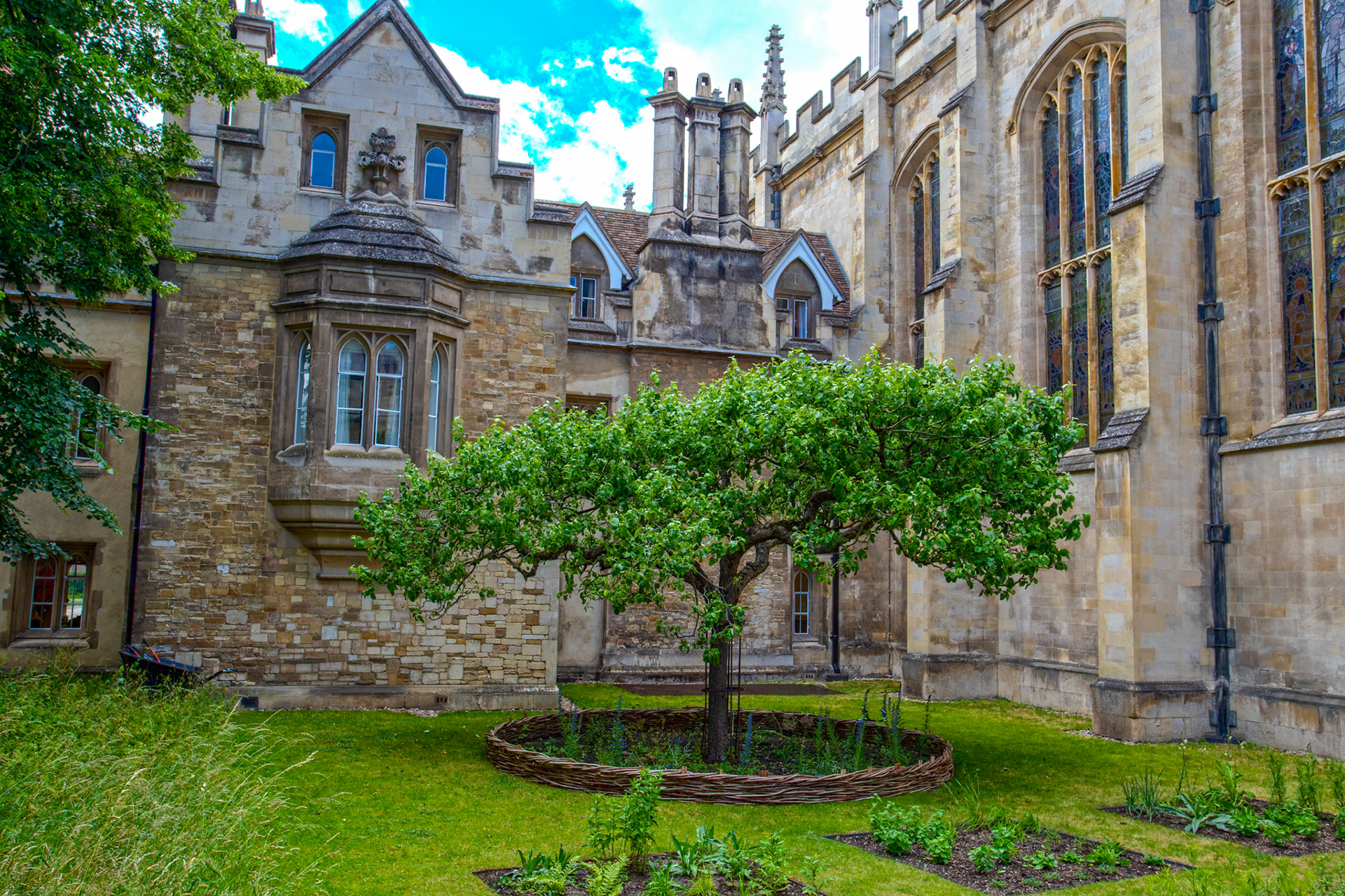 Trinity College, Cambridge 12 June 2026