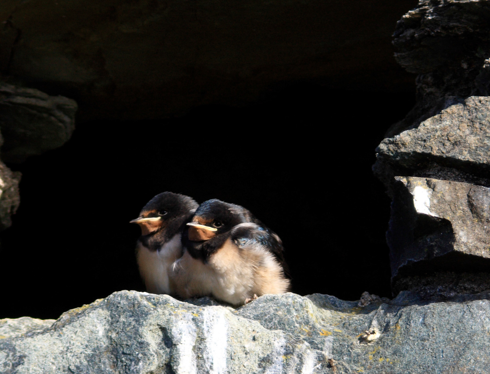 Kilchurn Castle Please see my other Photographs at: http://www.jamespdeans.co.uk/