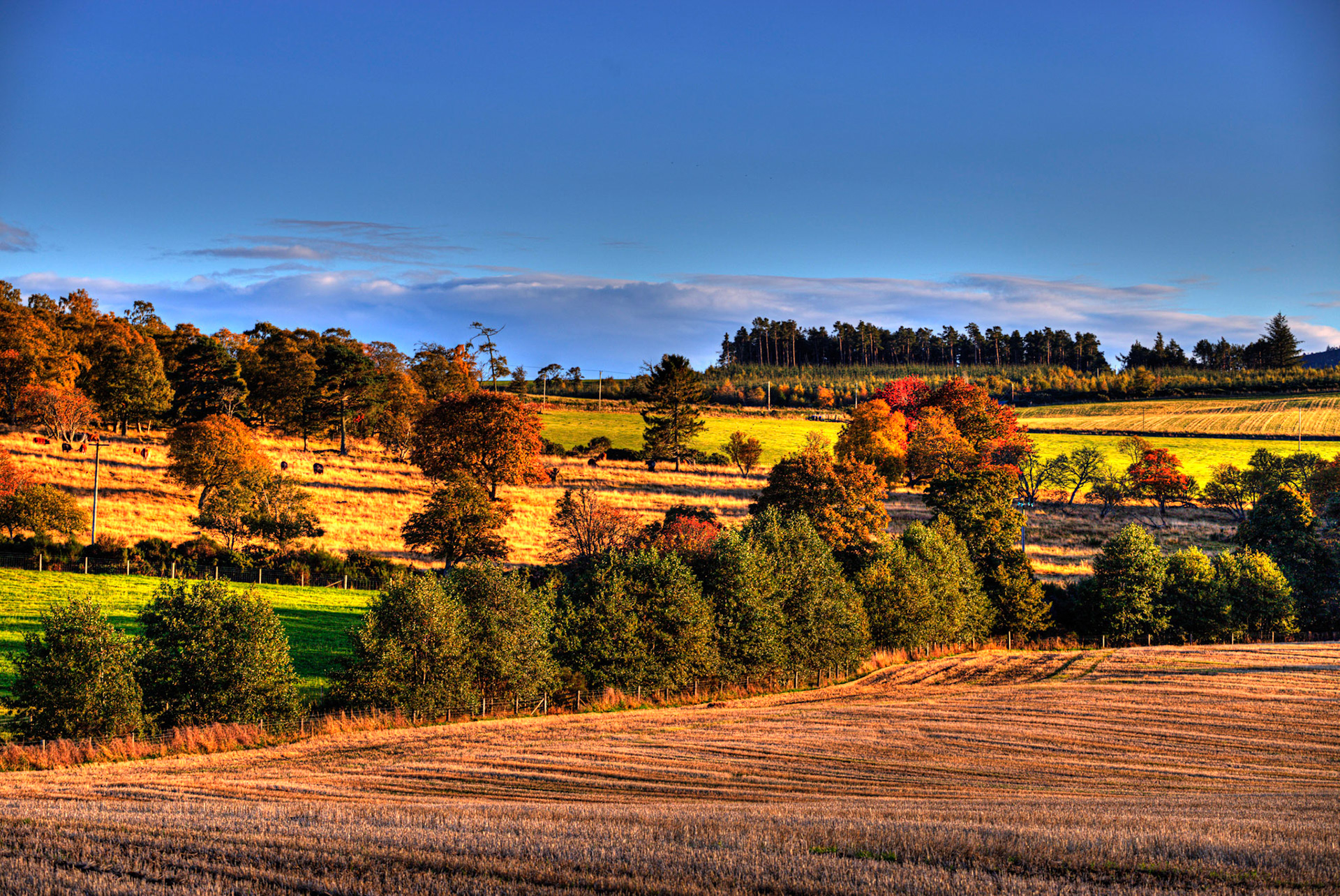 Autumn in Aberdeenshire 14 to 16 October 2022