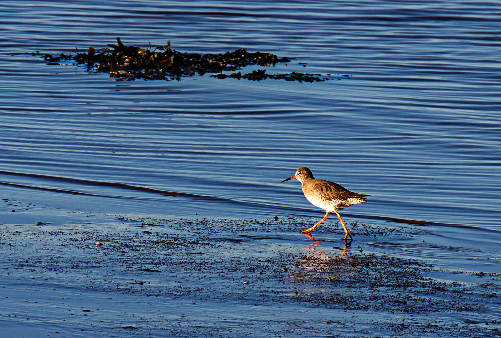 Blackness 30 November 2025