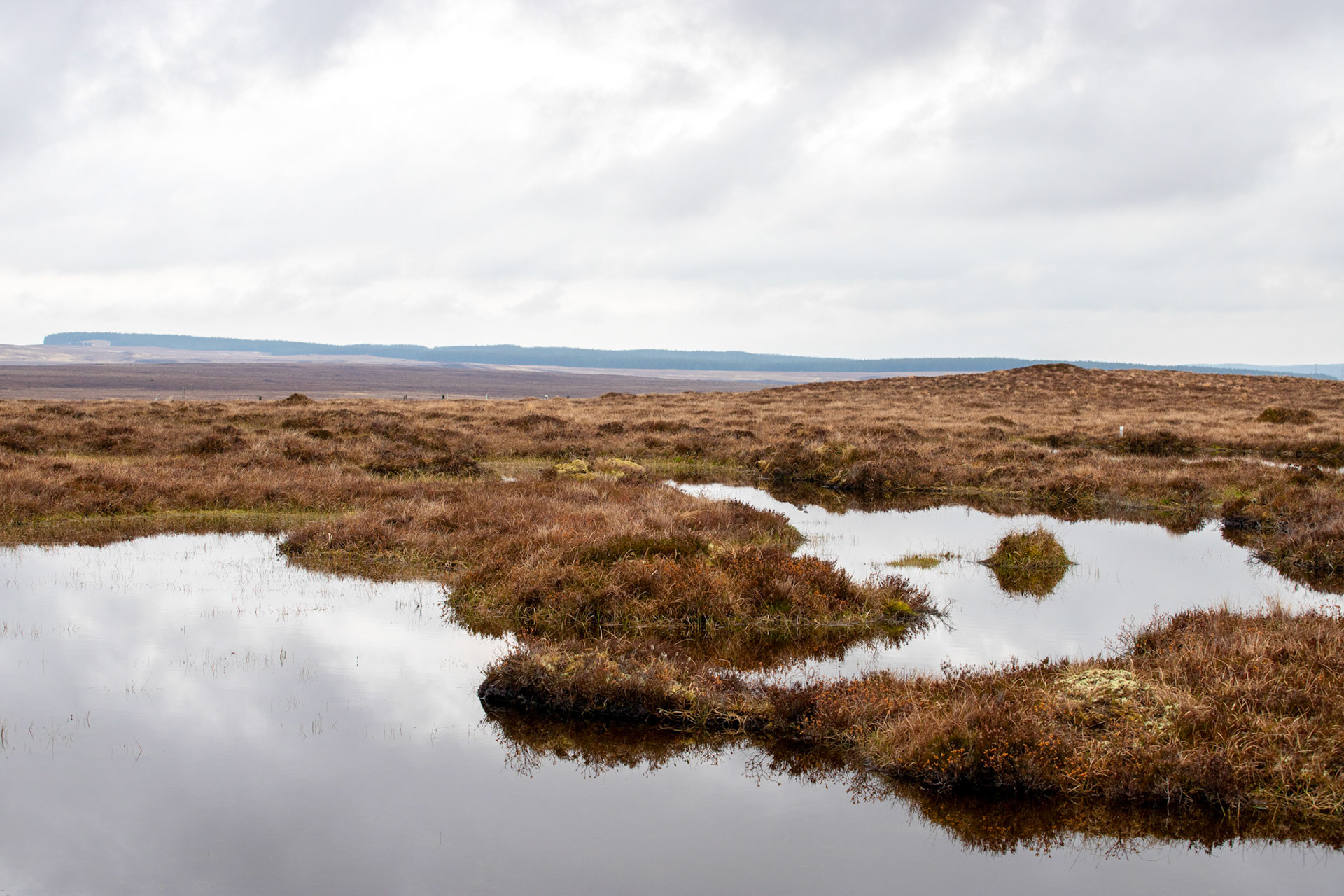 Forsinard 05 May 2024