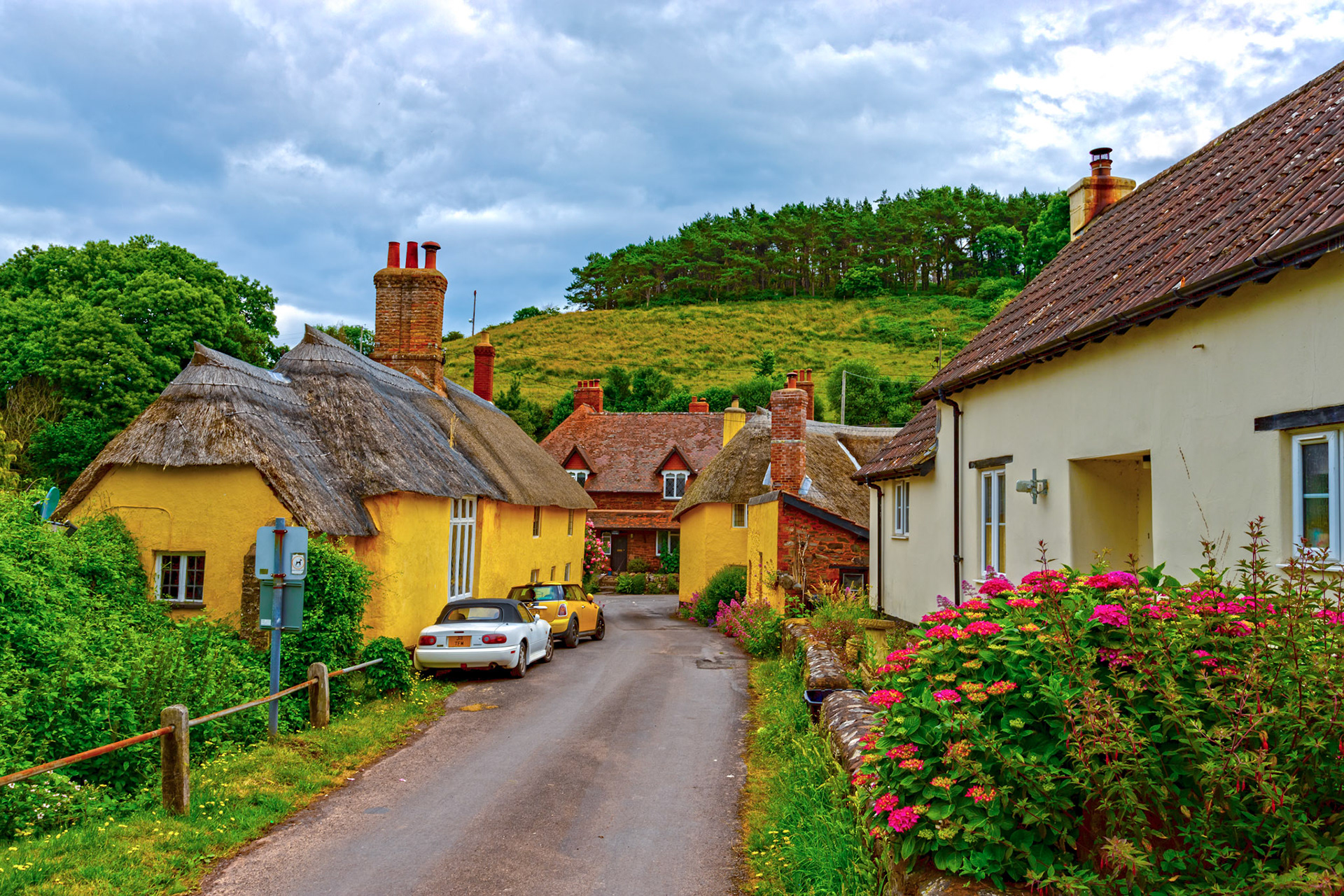 Luccombe 21 June 2023