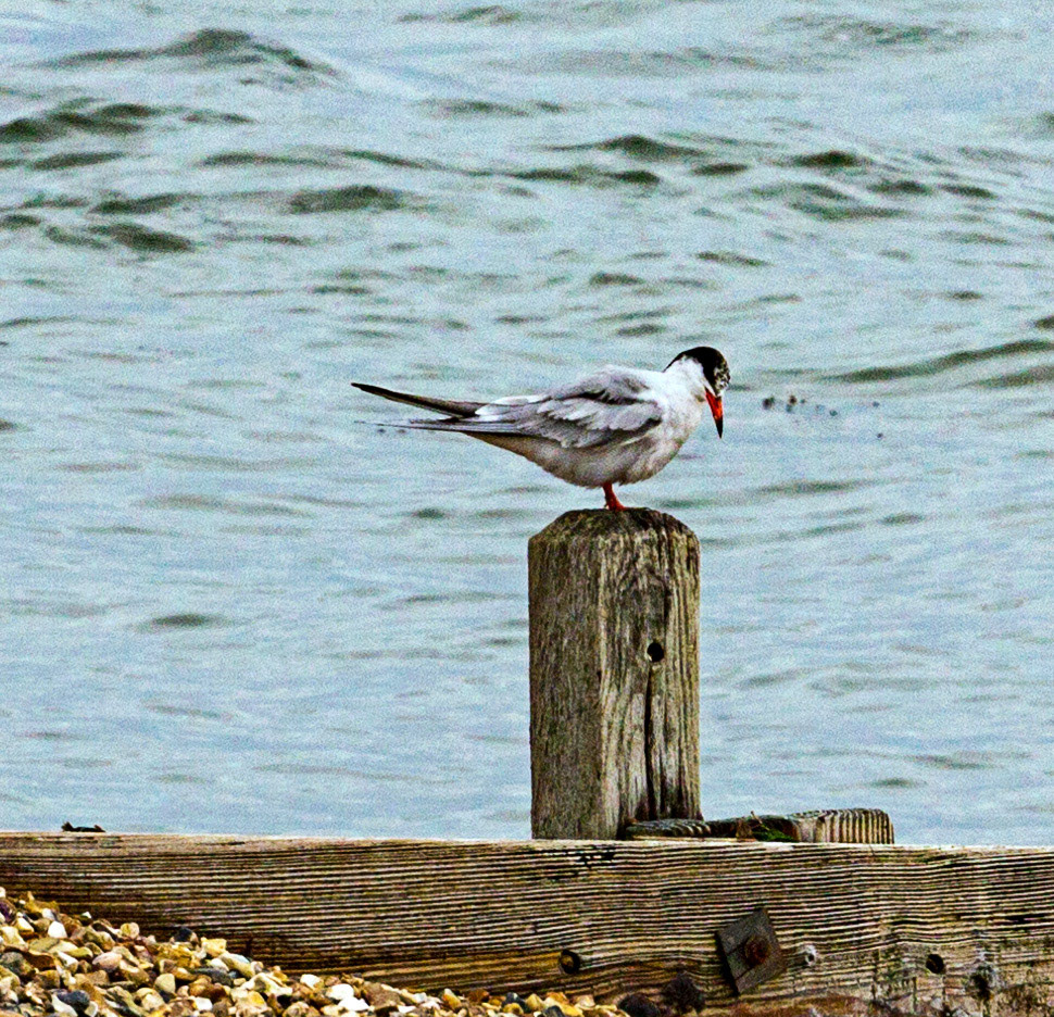 Titchfield Haven ShorePlease see my other Photographs at: www.jamespdeans.co.uk