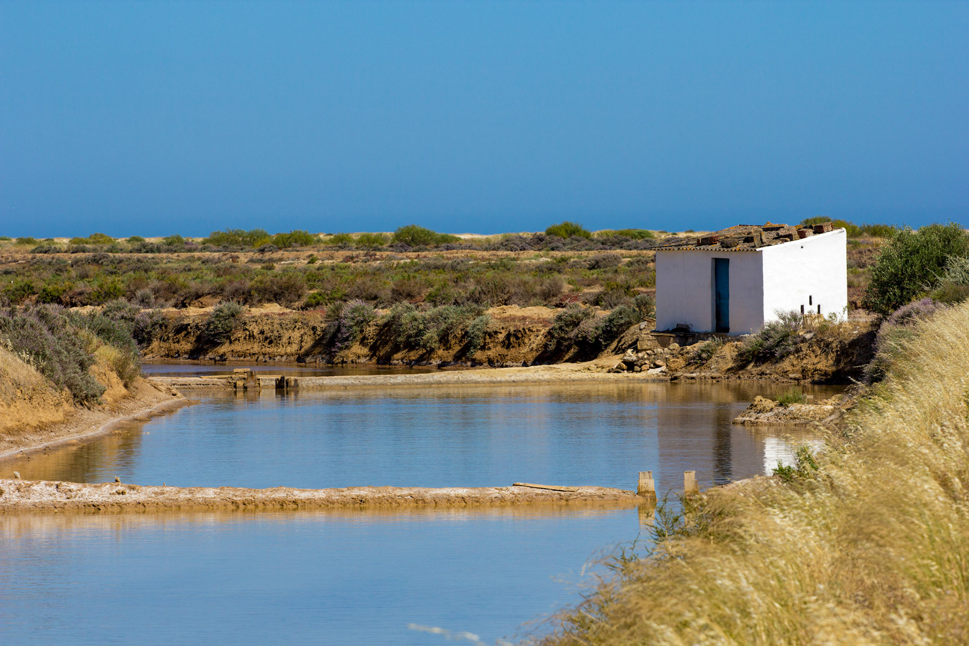 Salt Pans at Tavira