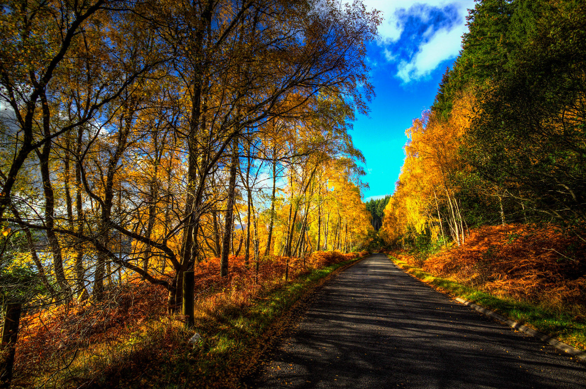 Loch Tummel. Autumnal Tour around Perthshire 19 October 2024