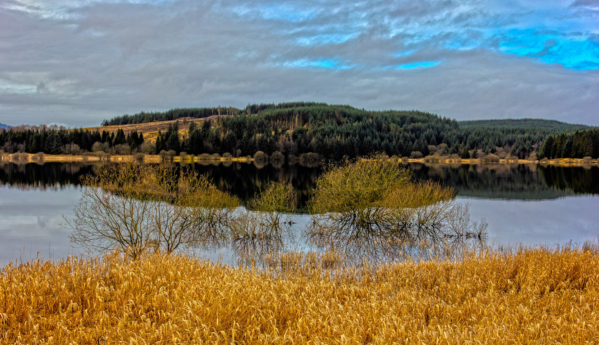 Carron Valley Reservoir 28 February 2026