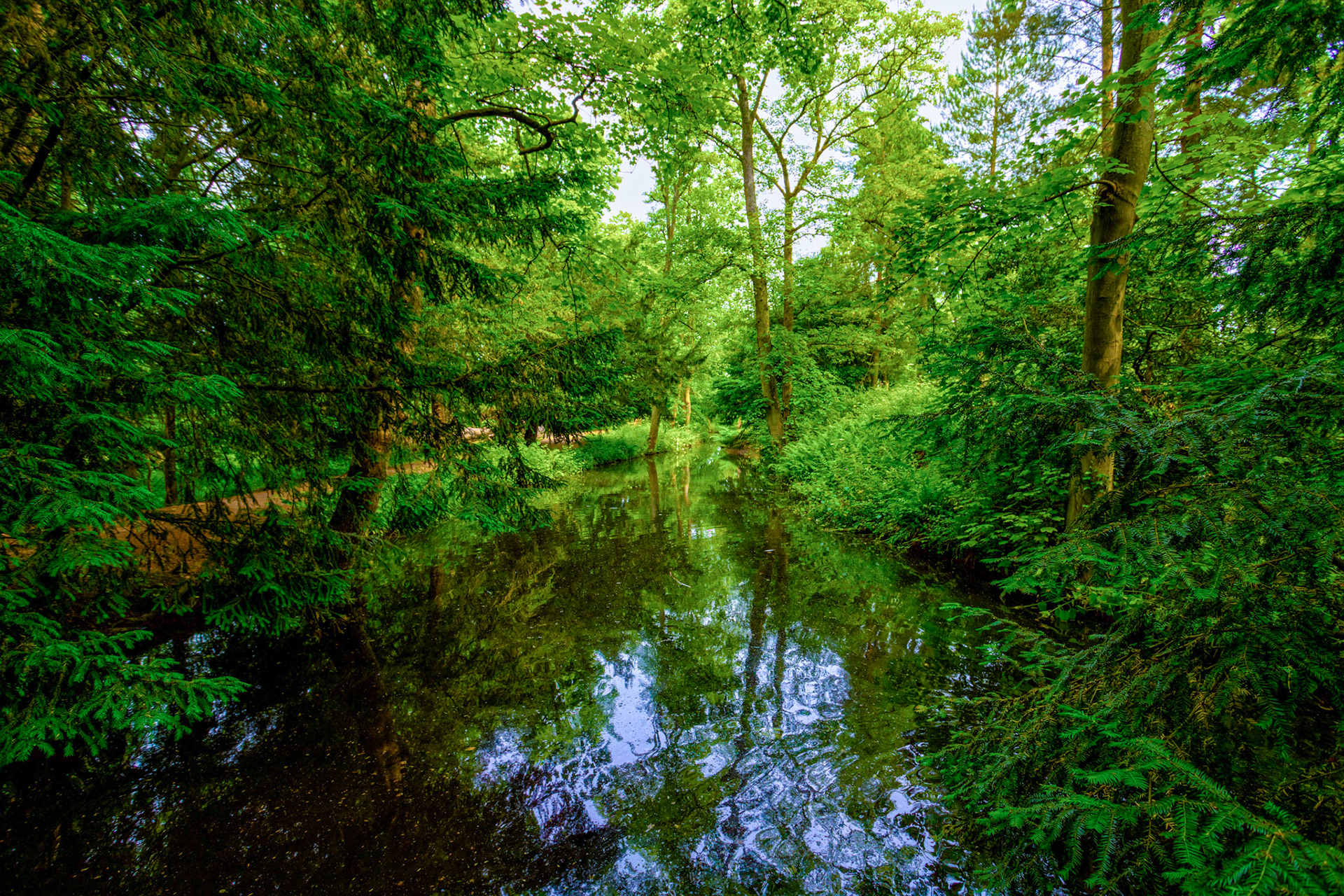 Baddesley Clinton 18 June 2023