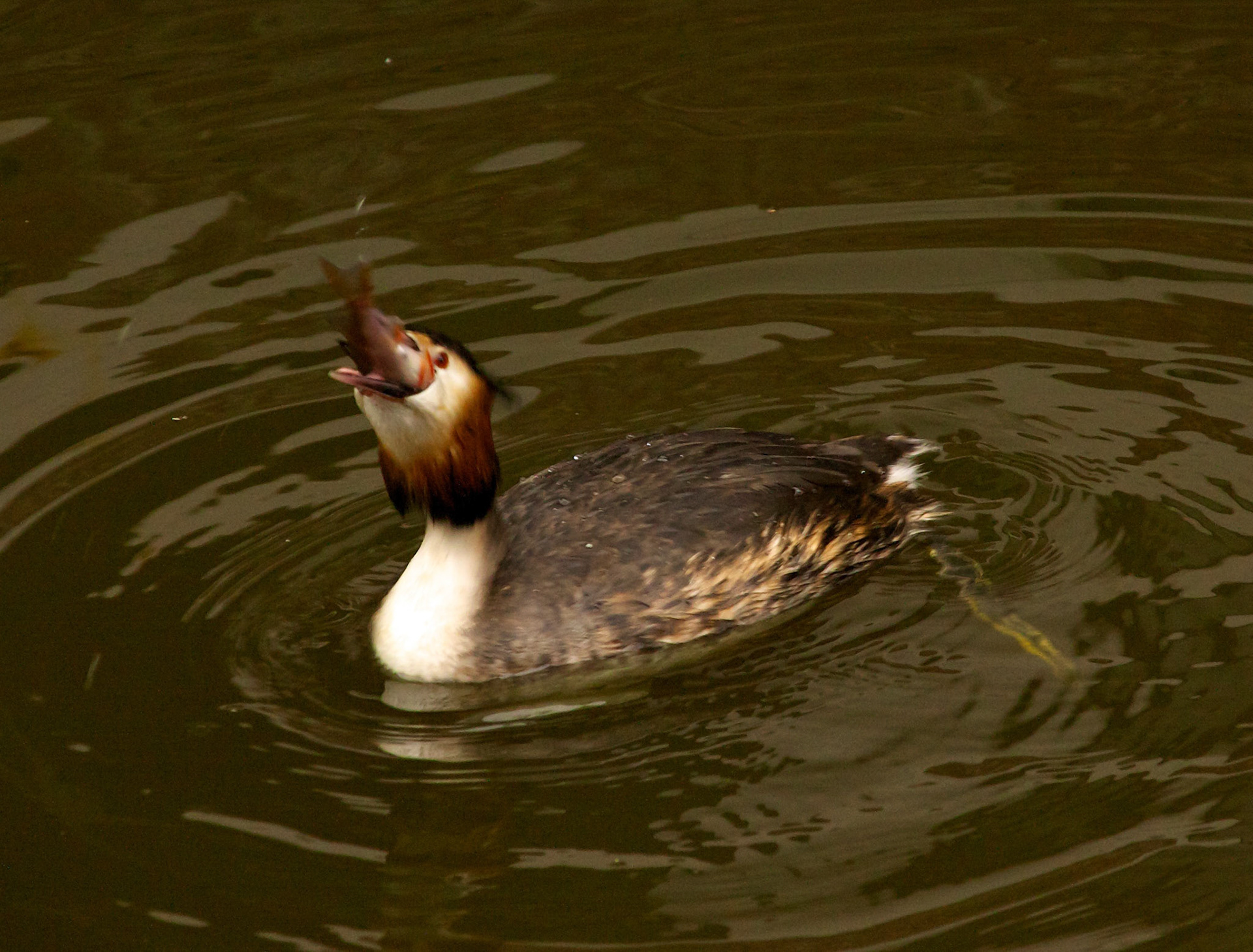 DelftPlease see my other Photographs at: http://www.jamespdeans.co.uk/