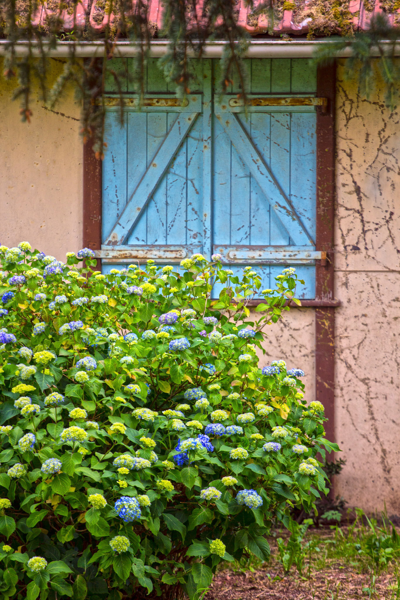 CernayPlease see my other Photographs at: http://www.jamespdeans.co.uk/