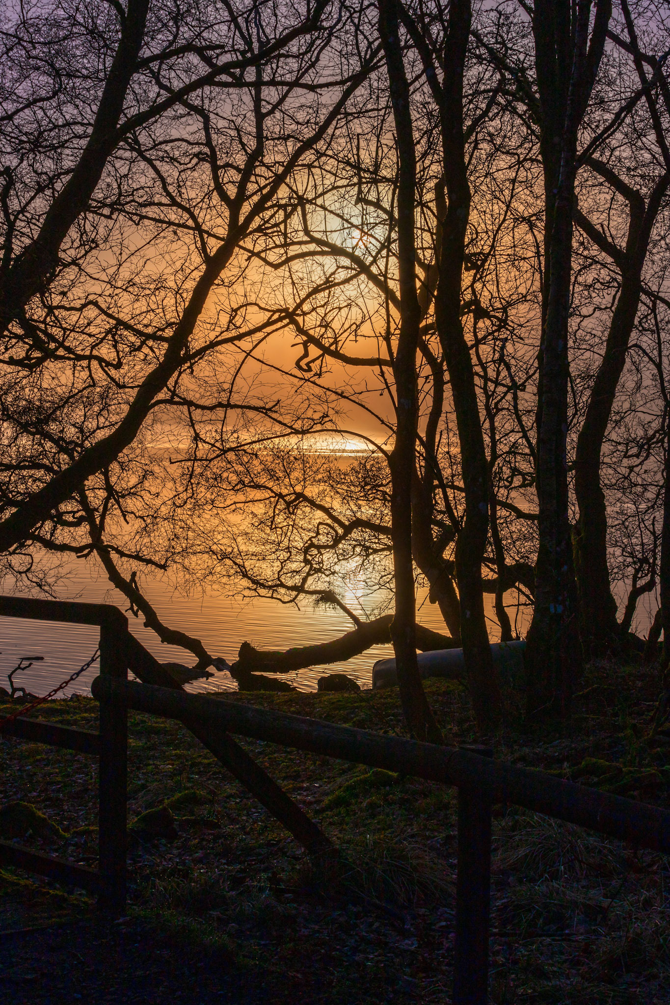 Sunrise atLoch o' the Lowes - Day Out 01 March 2024