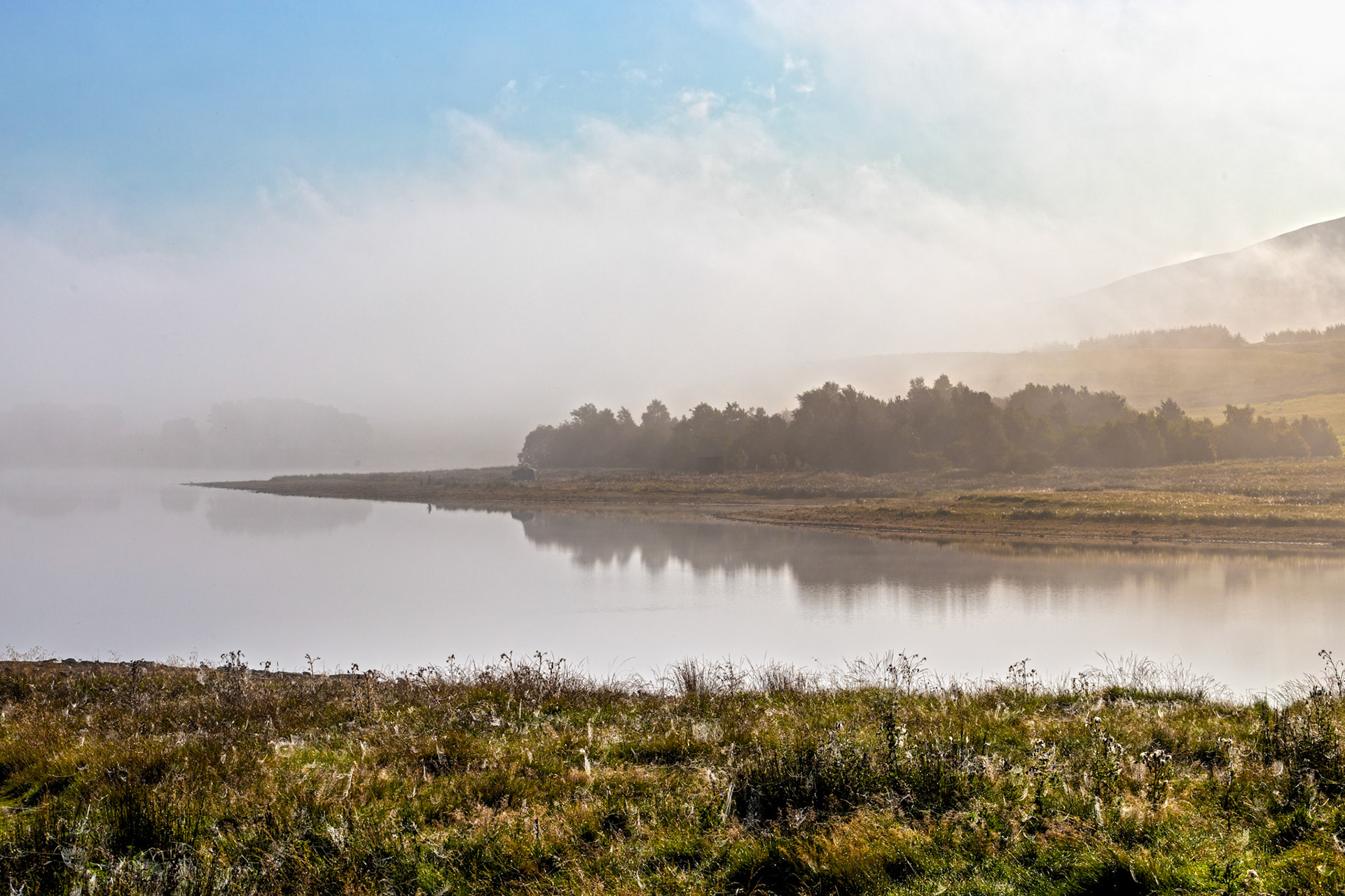 Fog @ Harperrig 02 Septemer 2023