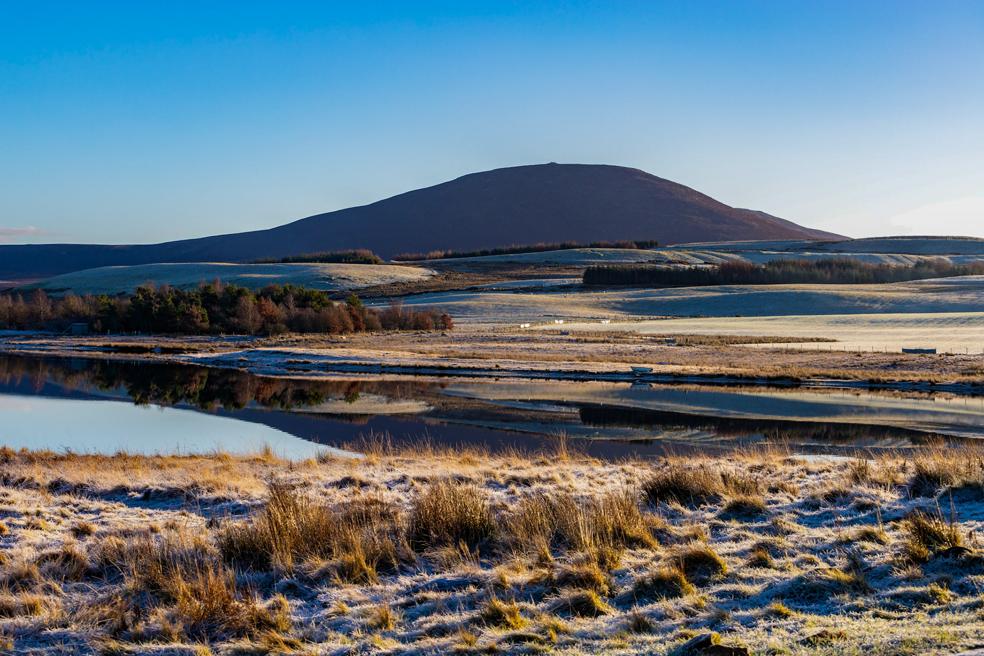 Harperrig 06 January 2024