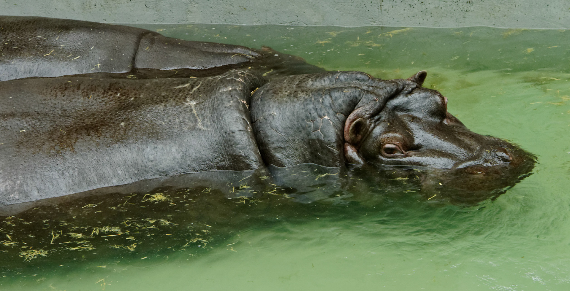 AntwerpPlease see my other Photographs at: http://www.jamespdeans.co.uk/