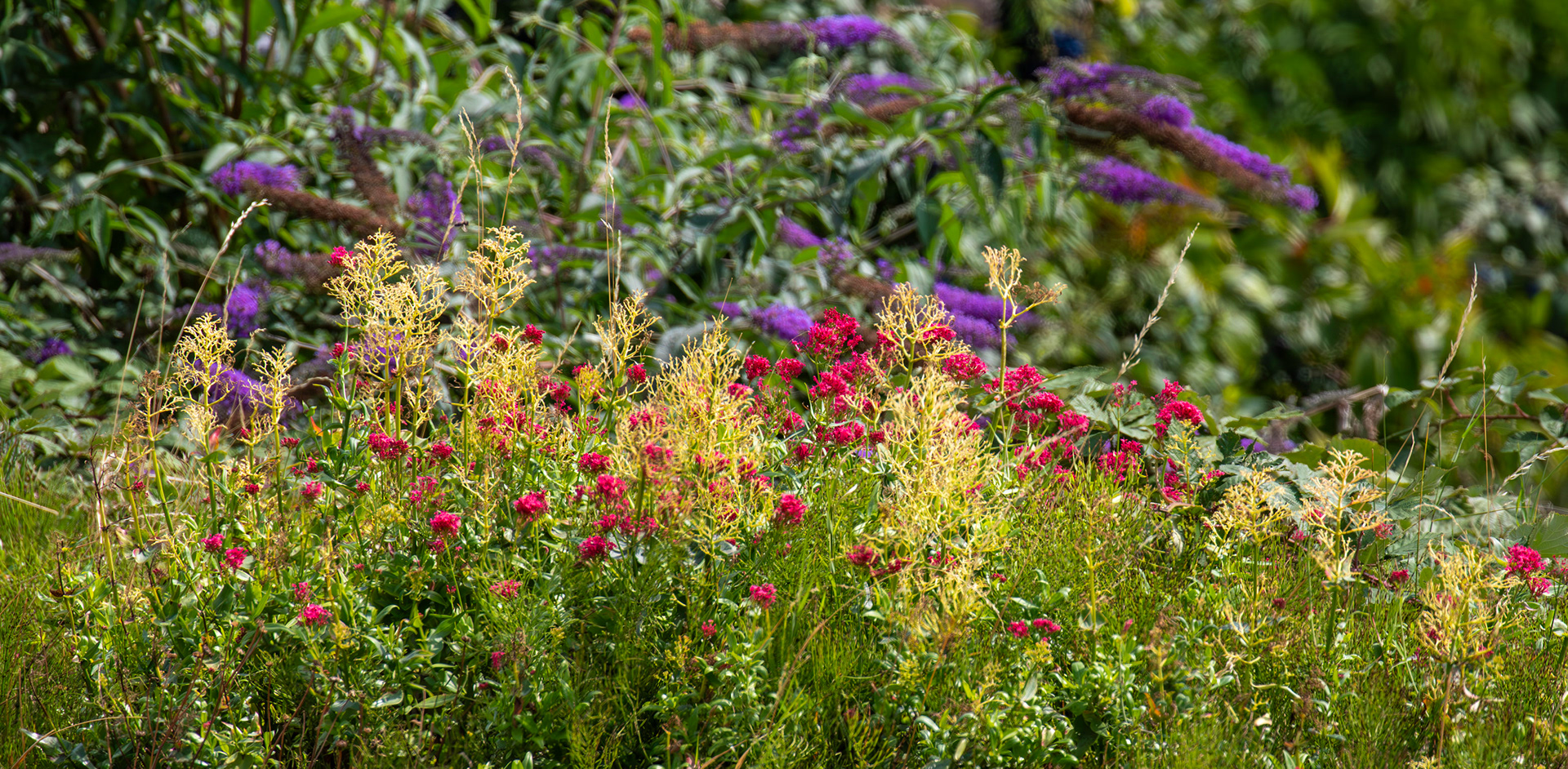 Burnham 06 August 2025