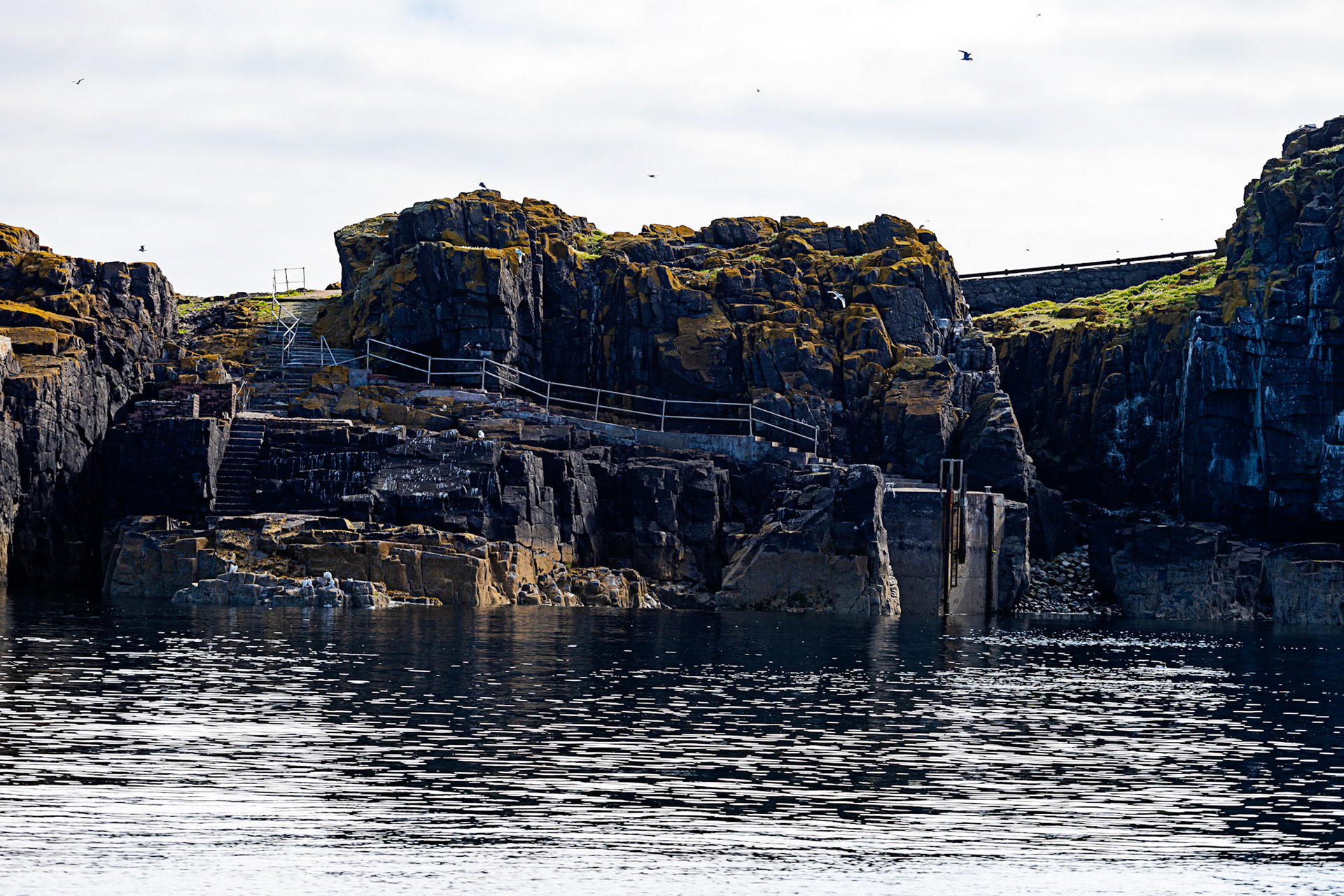 Isle of May - 04 June 2022