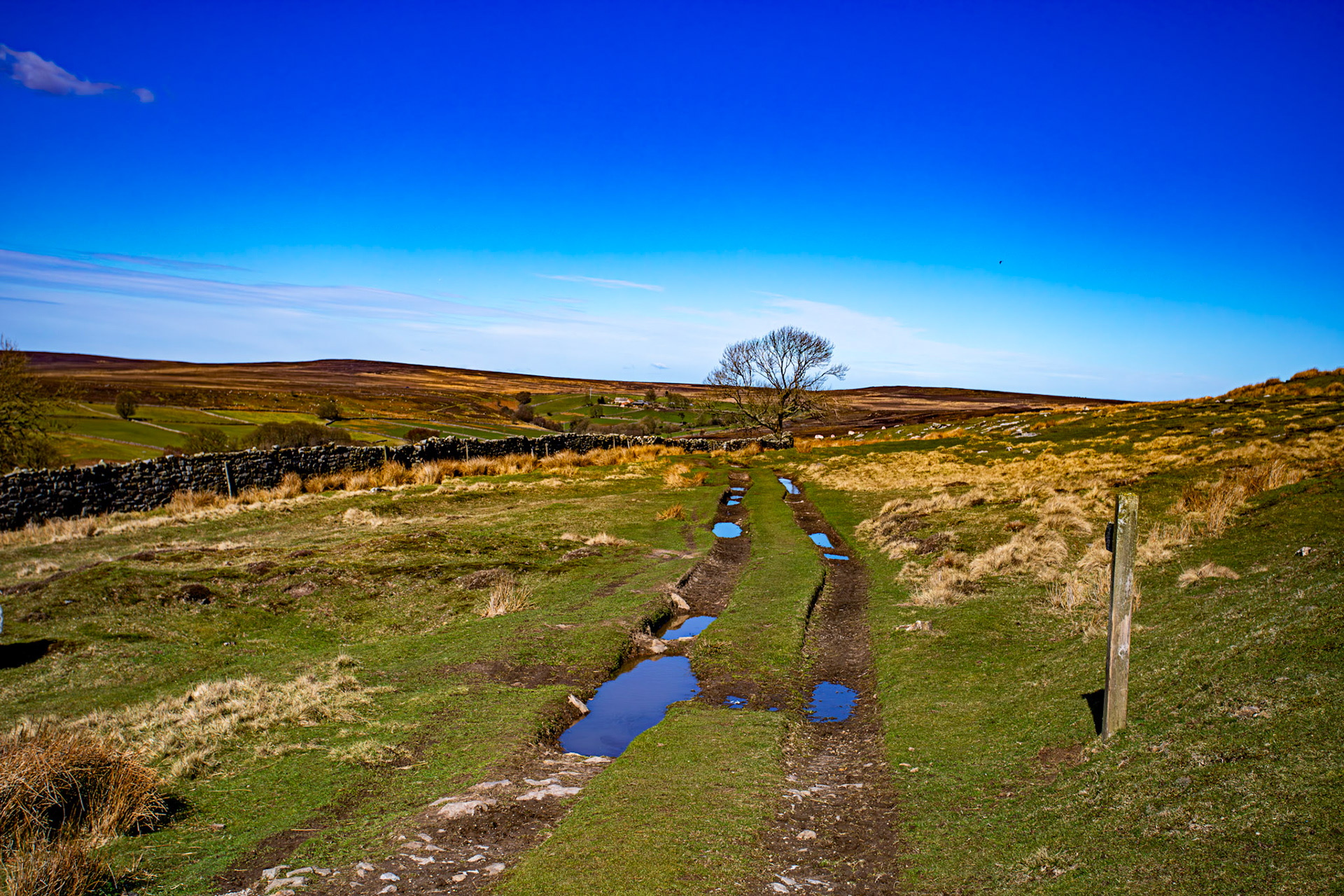 Danby Beacon - North York Moors 26 March 2026