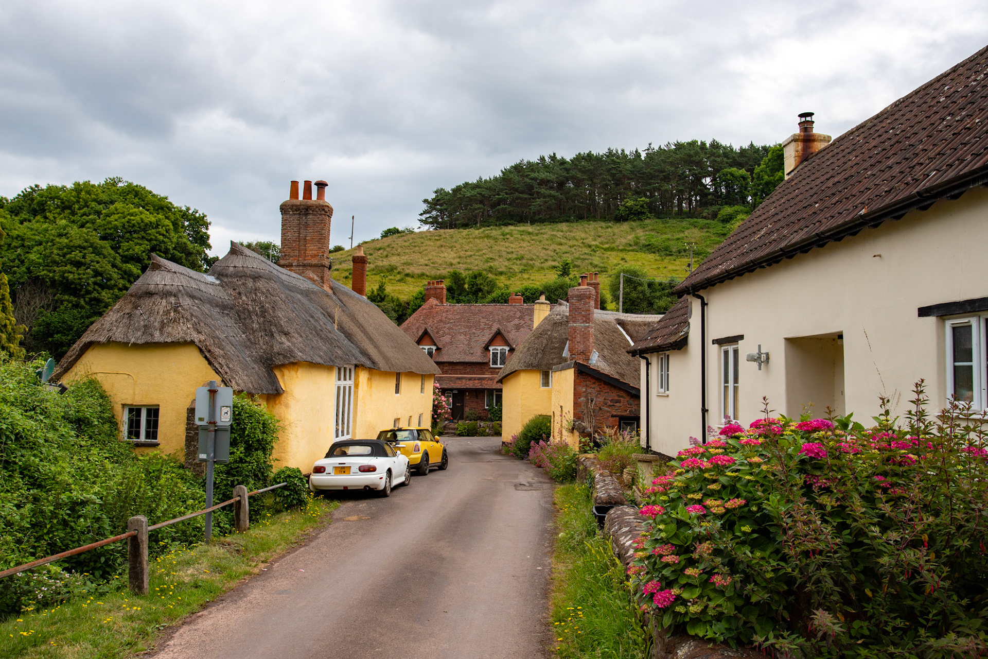 Luccombe 21 June 2023