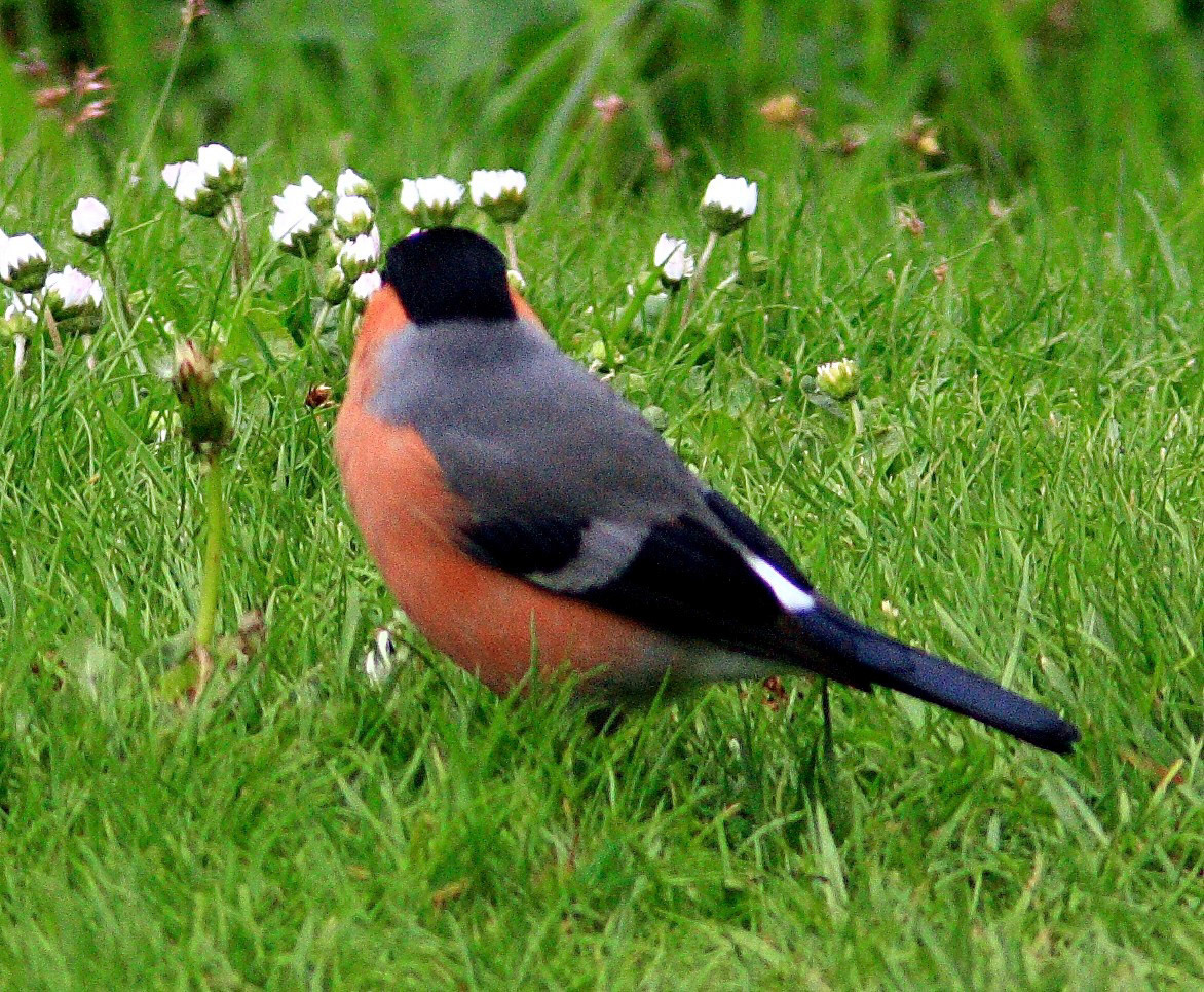 Castle CampbellPlease see my other Photographs at: http://www.jamespdeans.co.uk/