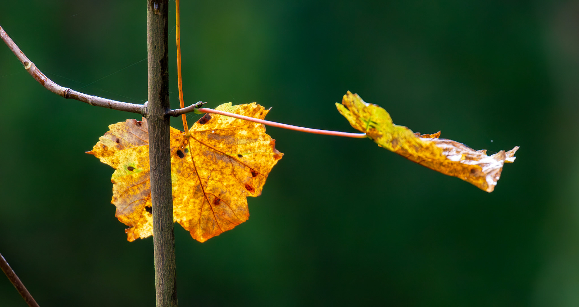 Beecraigs 24 September 2024