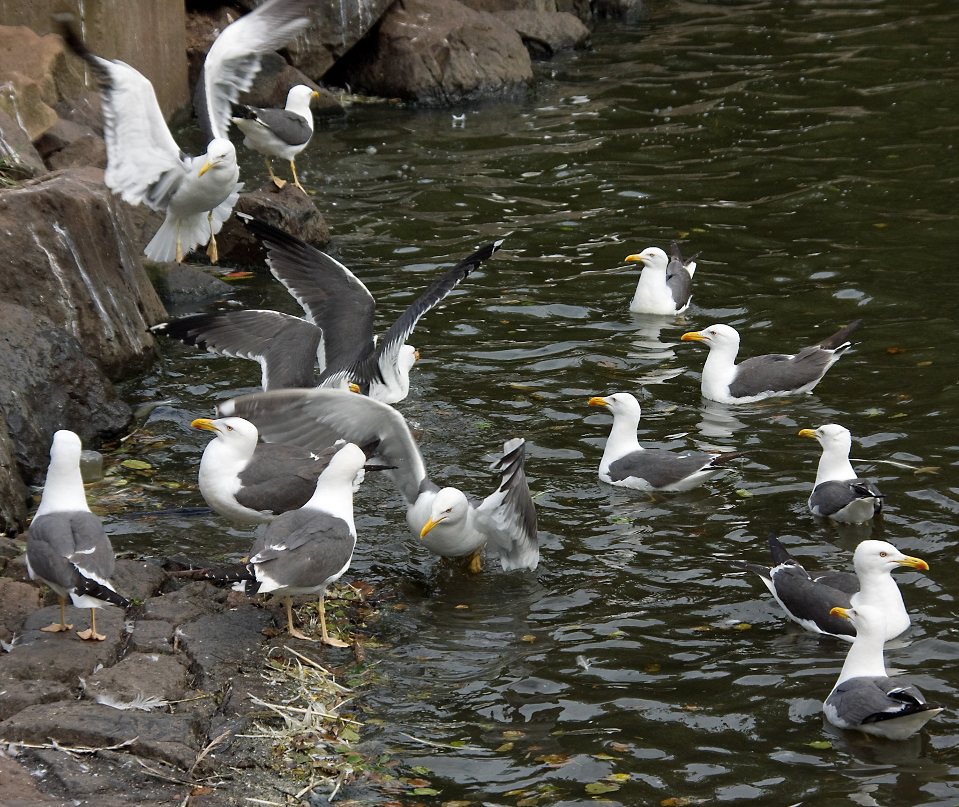 EdinburghPlease see my other Photographs at: http://www.jamespdeans.co.uk/