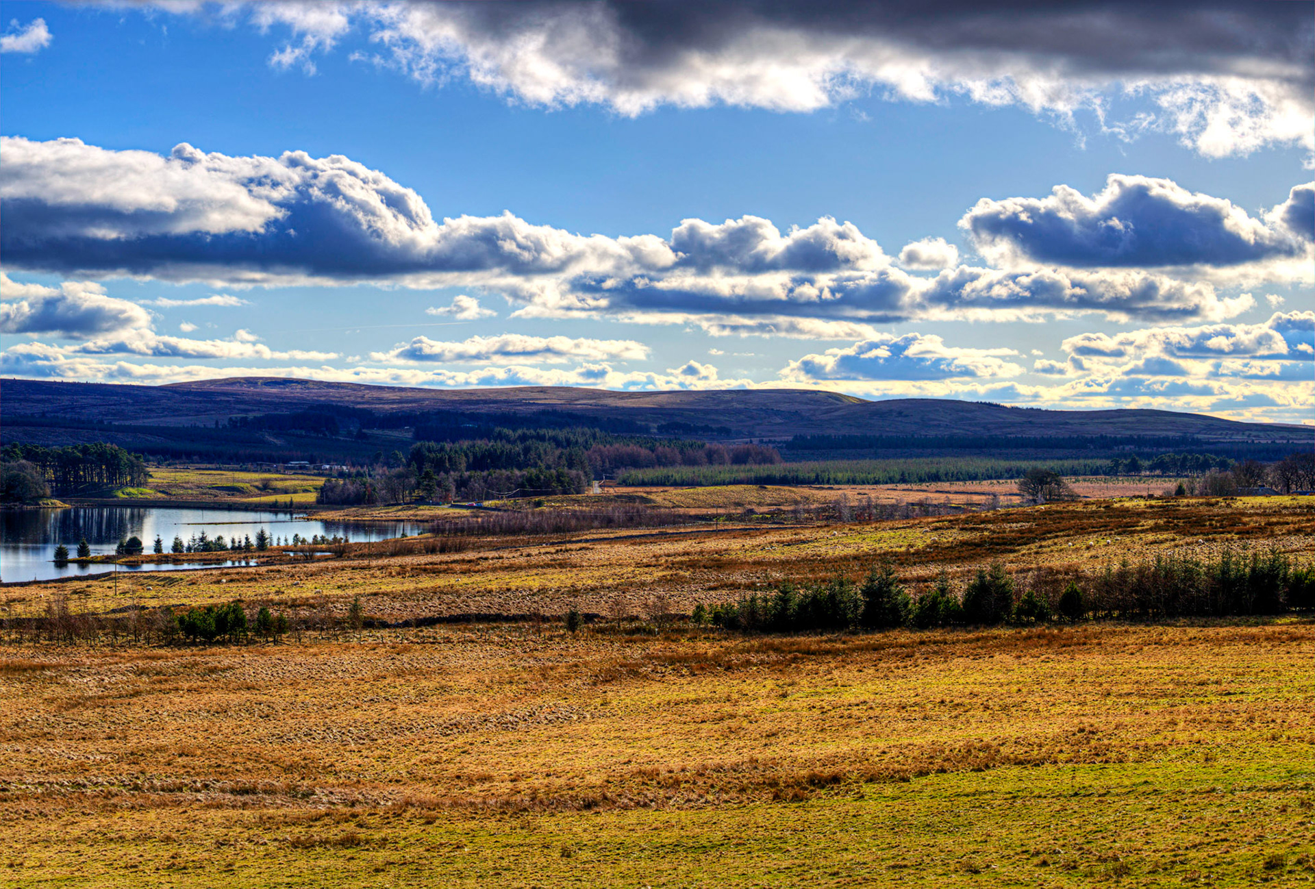 Harperrig Reservoir 26 Feb 2024