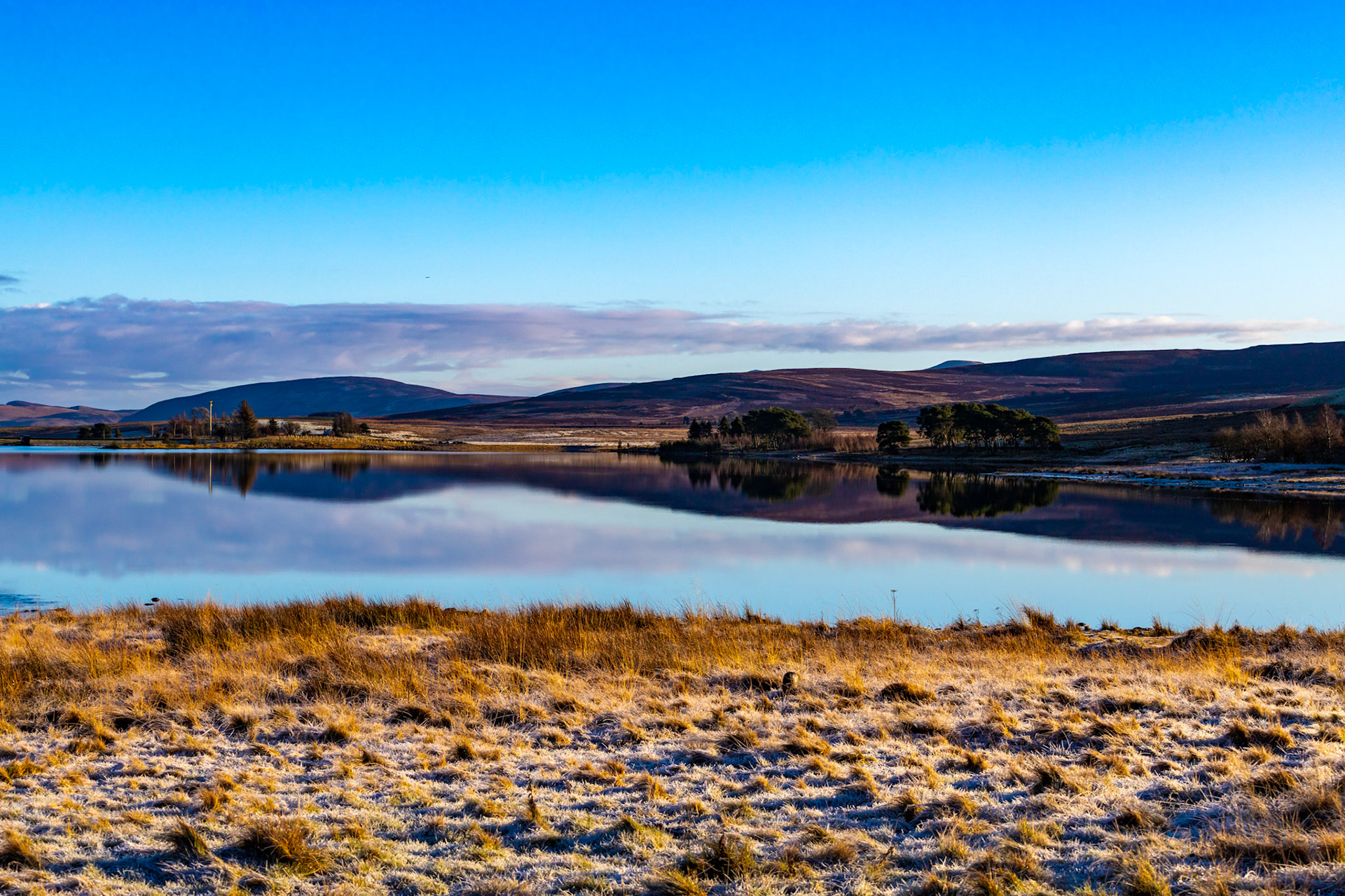 Harperrig 06 January 2024