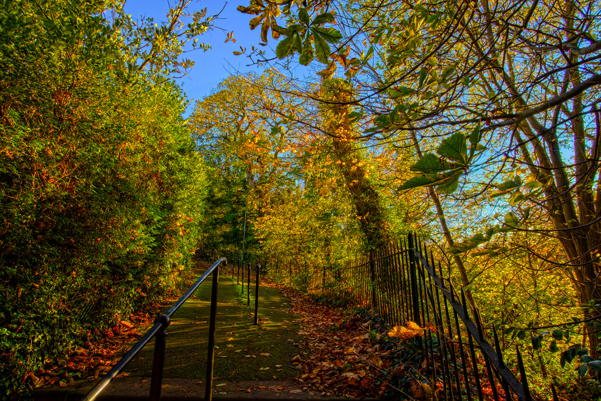 Colinton 27 October 2025