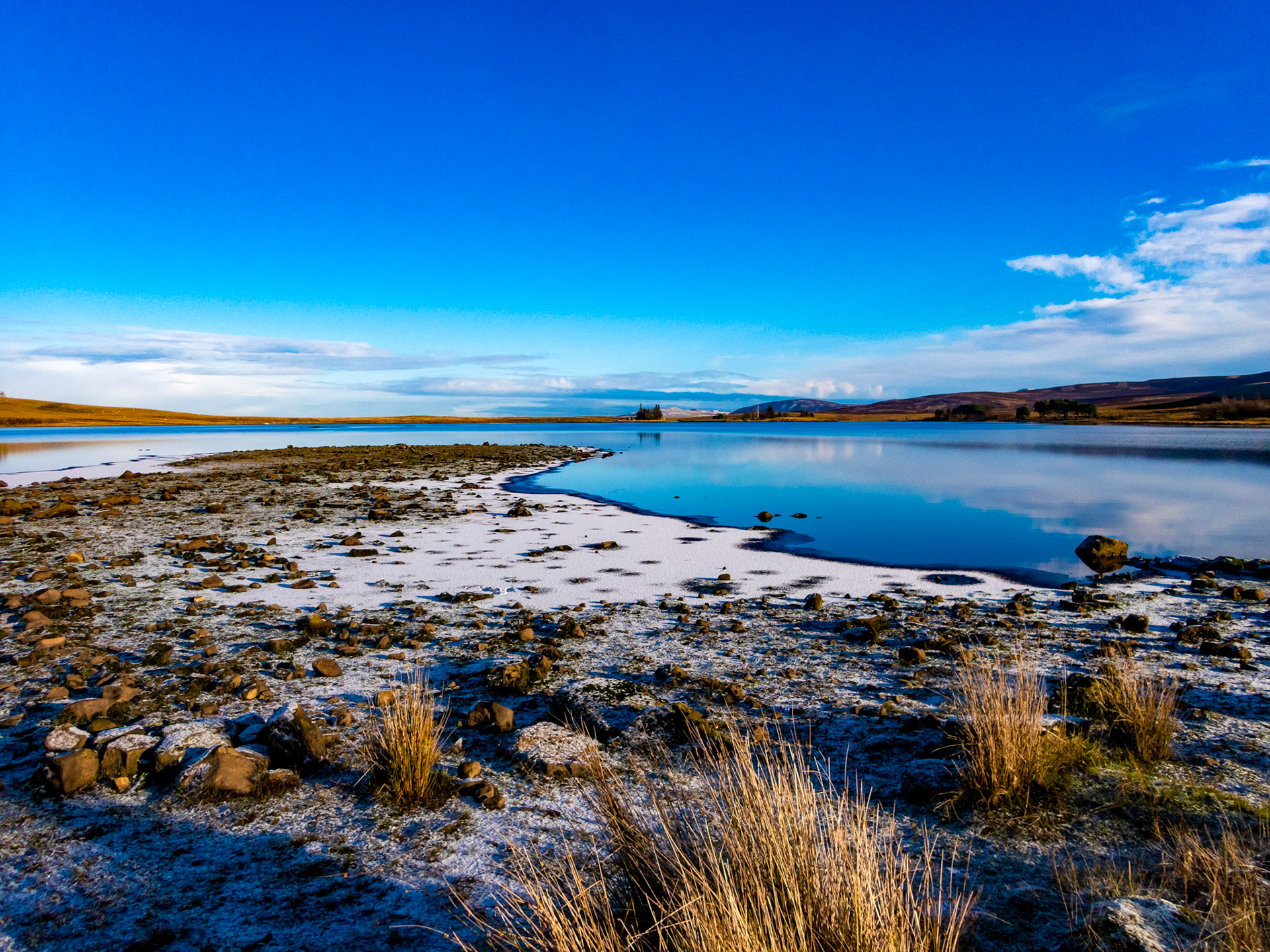 Swim at Harperrig 08 December 2022