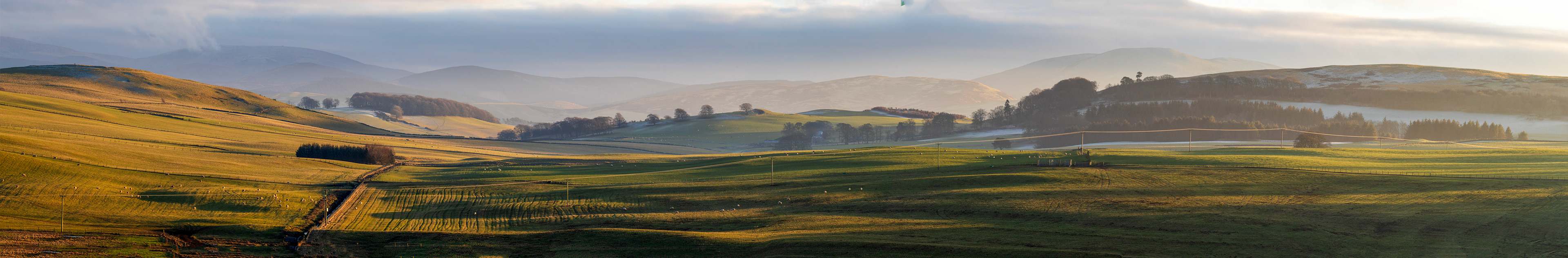 View near Elsrickle 22 January 2025