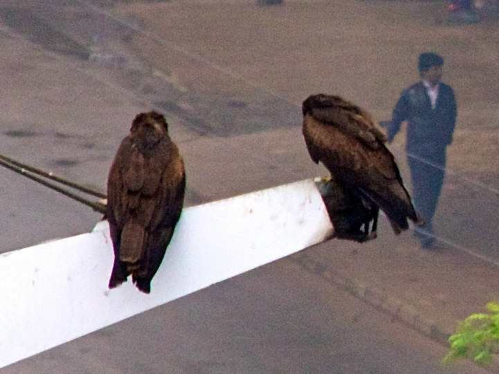 BangladeshPlease see my other Photographs at: http://www.jamespdeans.co.uk/