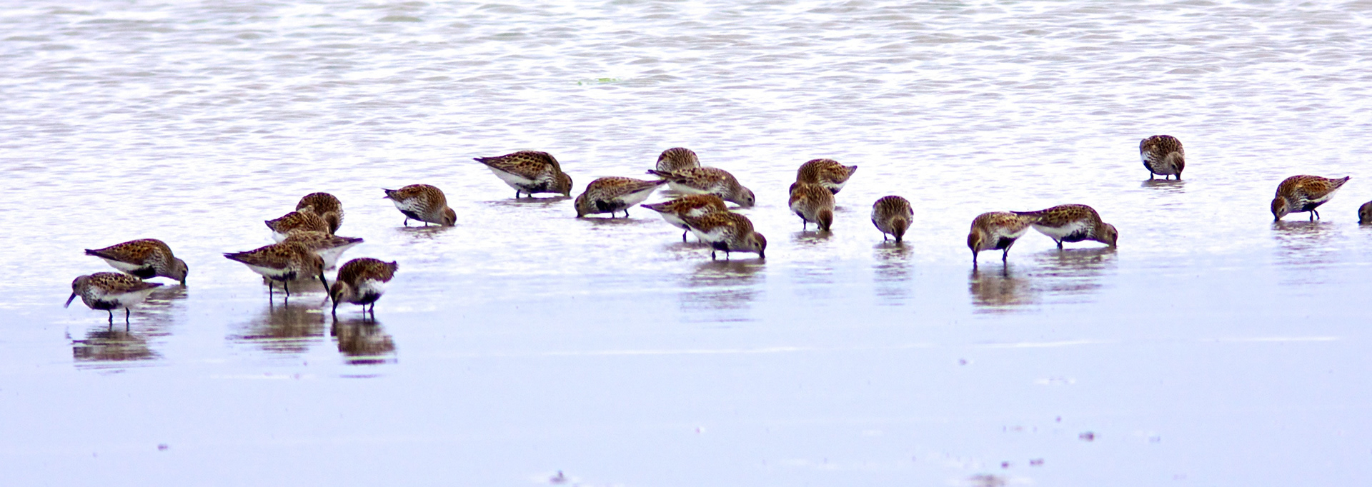 North UistPlease see my other Photographs at: http://www.jamespdeans.co.uk/