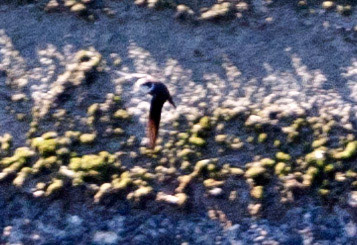 Durham 04 to  07 May 2018Please see my other Photographs at: www.jamespdeans.co.uk