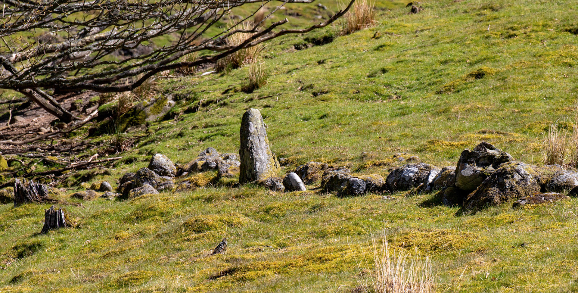 Sma' Glen 16 May 2026