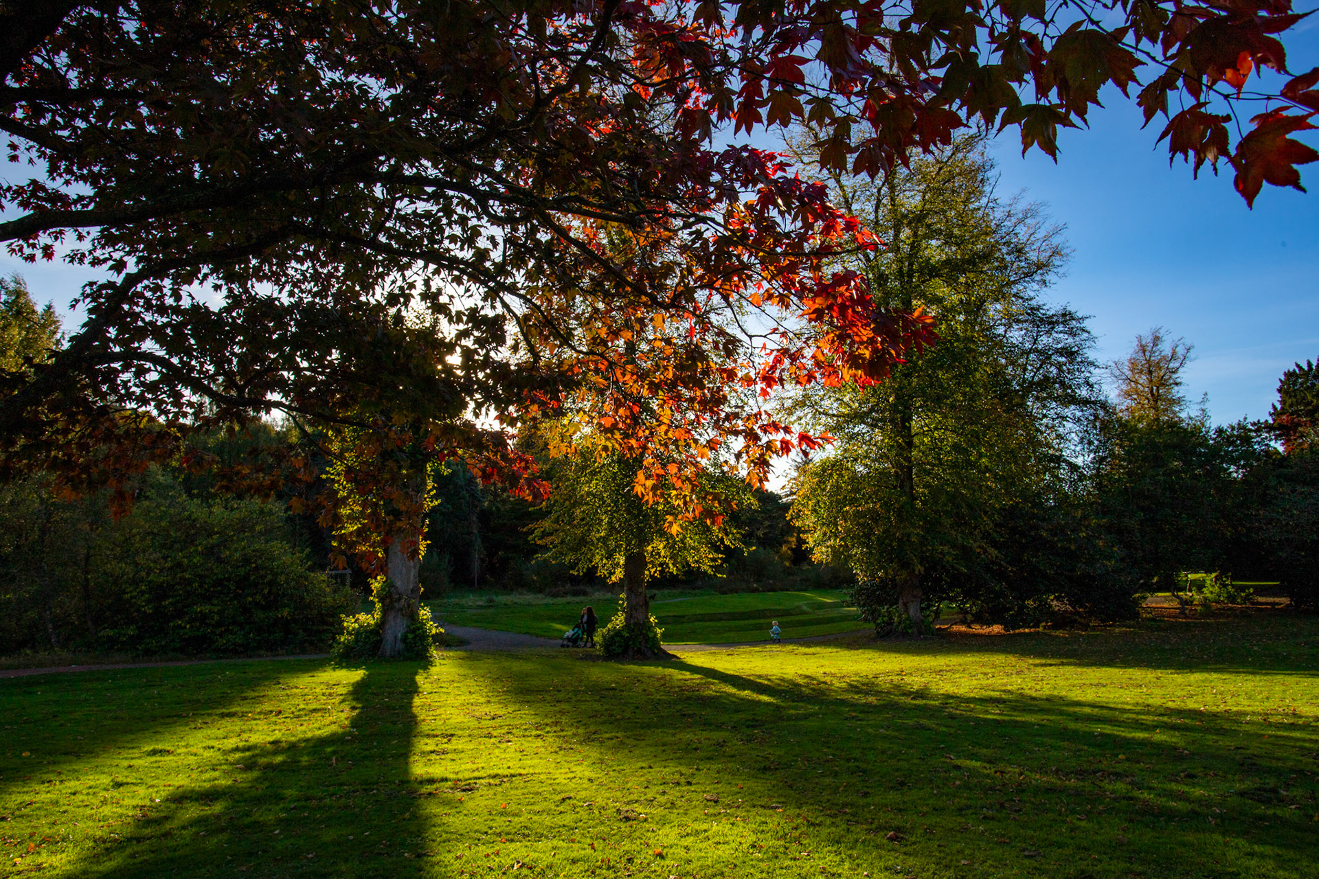 Callendar Park, Falkirk 11 October 2025