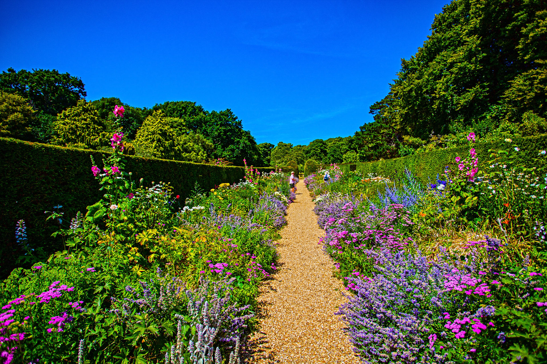 Mottistone IOW 16 July 2022