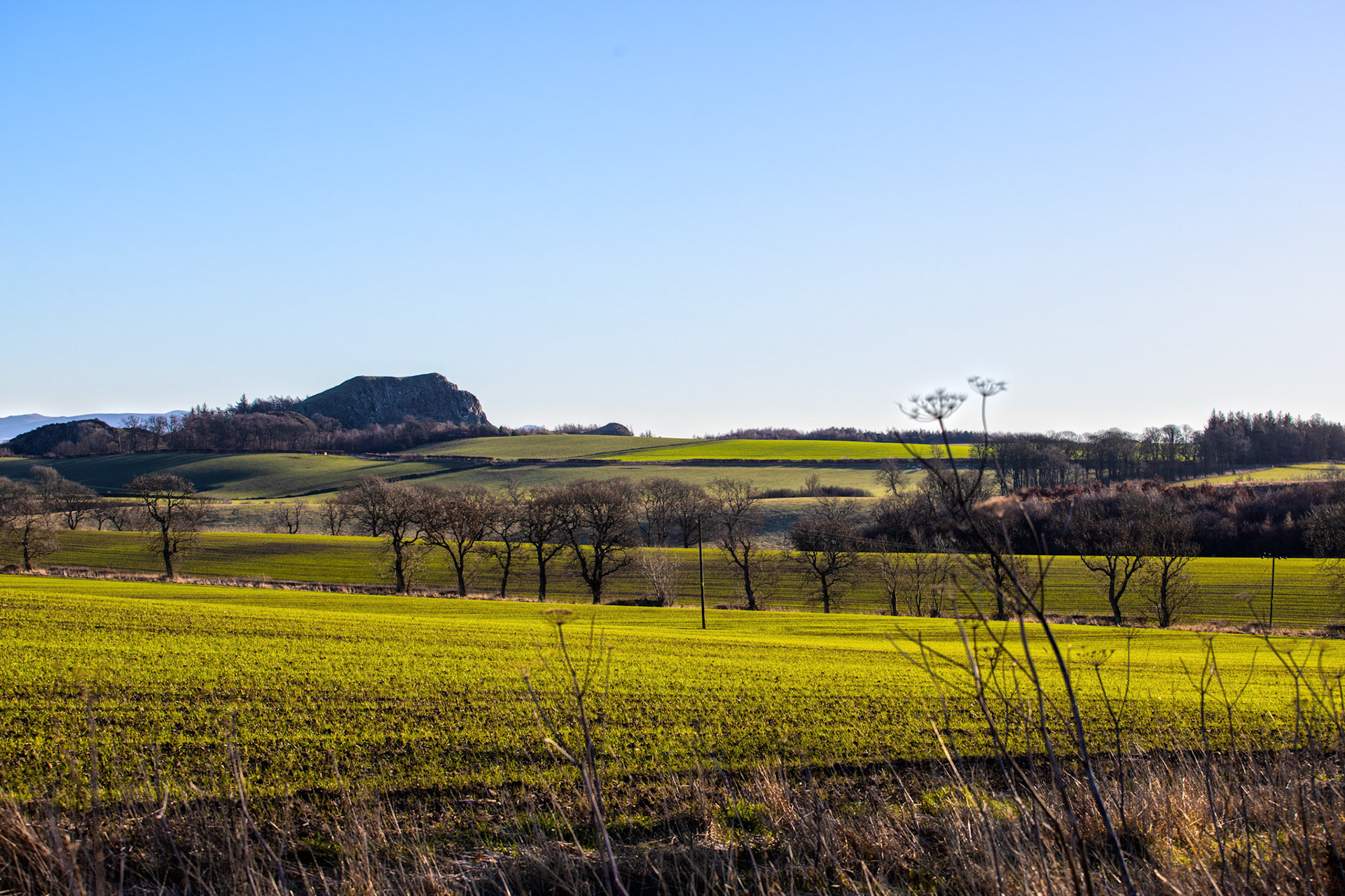 Binny Craig 17 January 2024