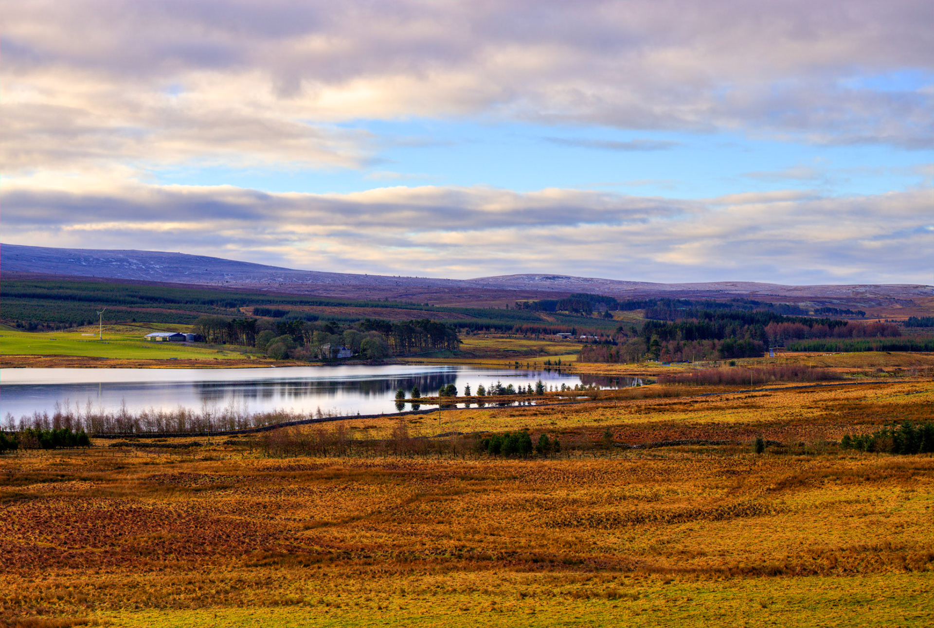 Harperrig Reservoir 24 Feb 2024