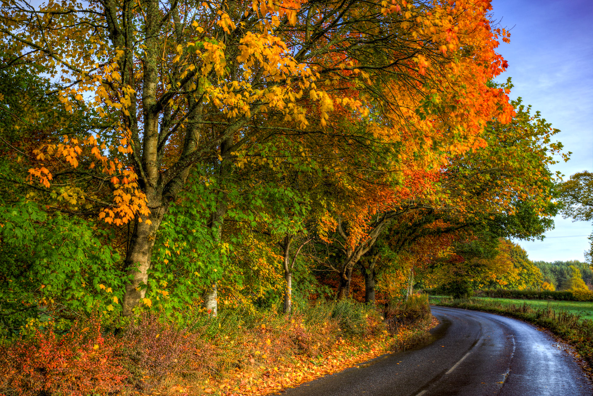 Meikleour, Autumnal Tour around Perthshire 19 October 2024