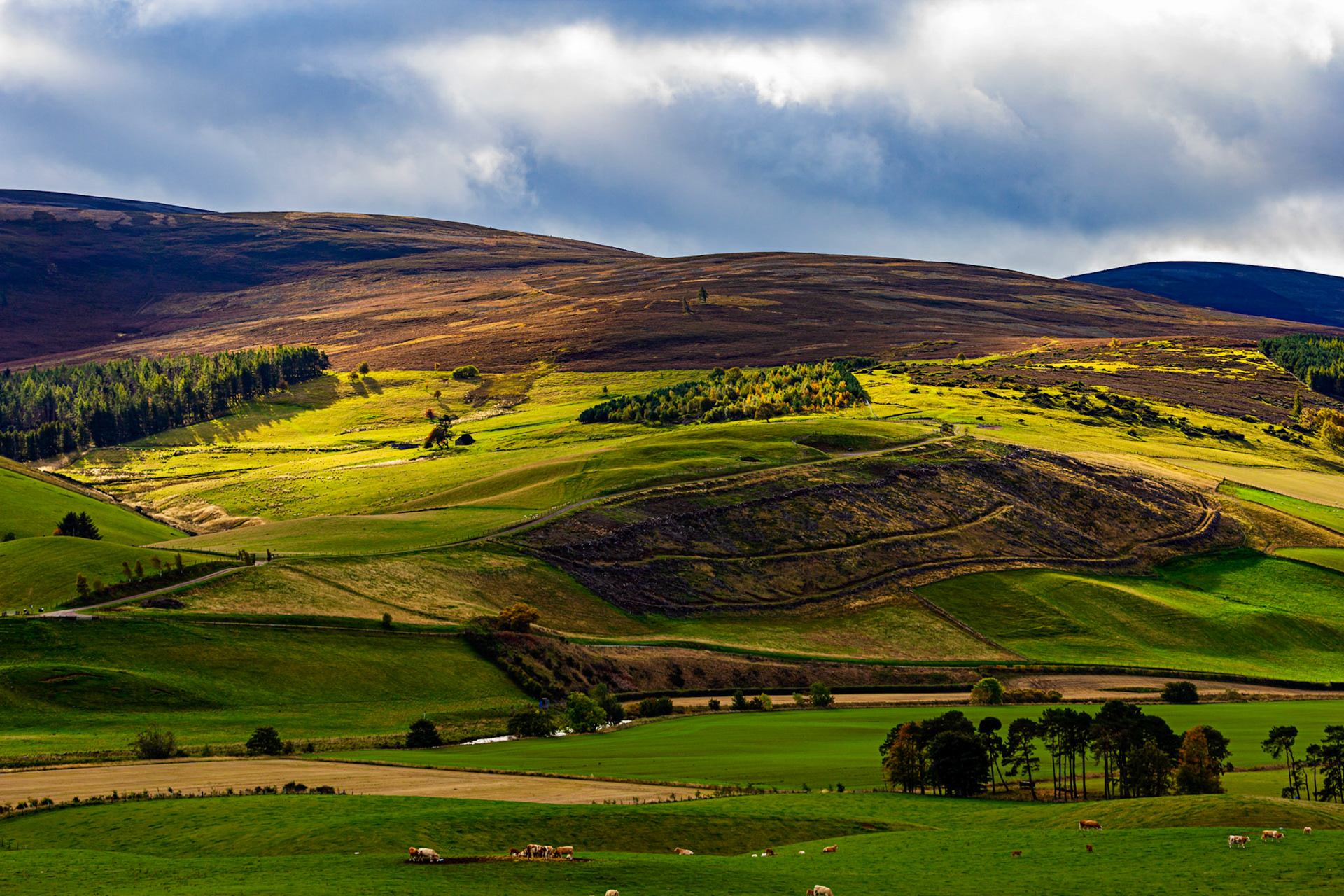 Autumn in Aberdeenshire 14 to 16 October 2022